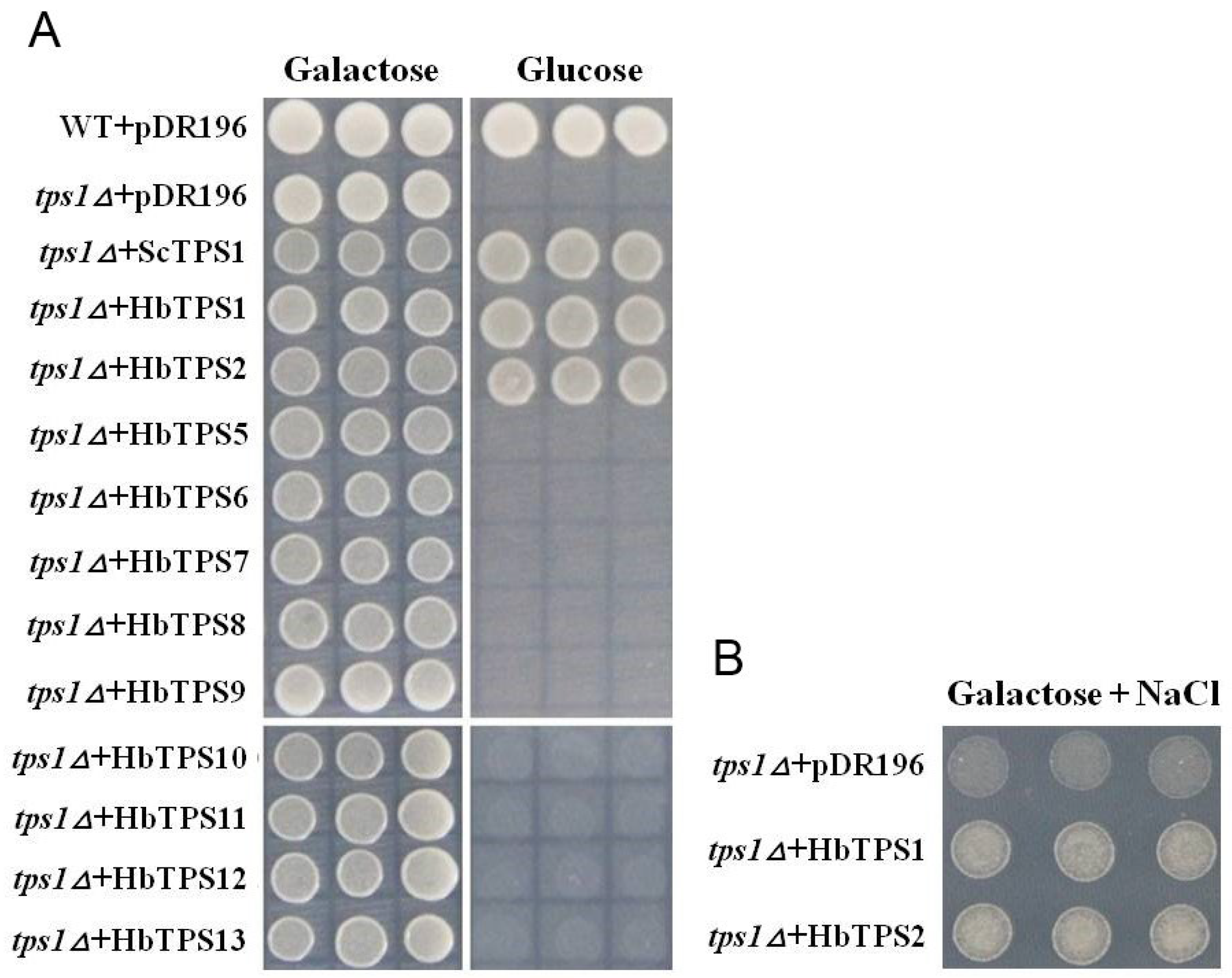 Plants 11 02879 g004