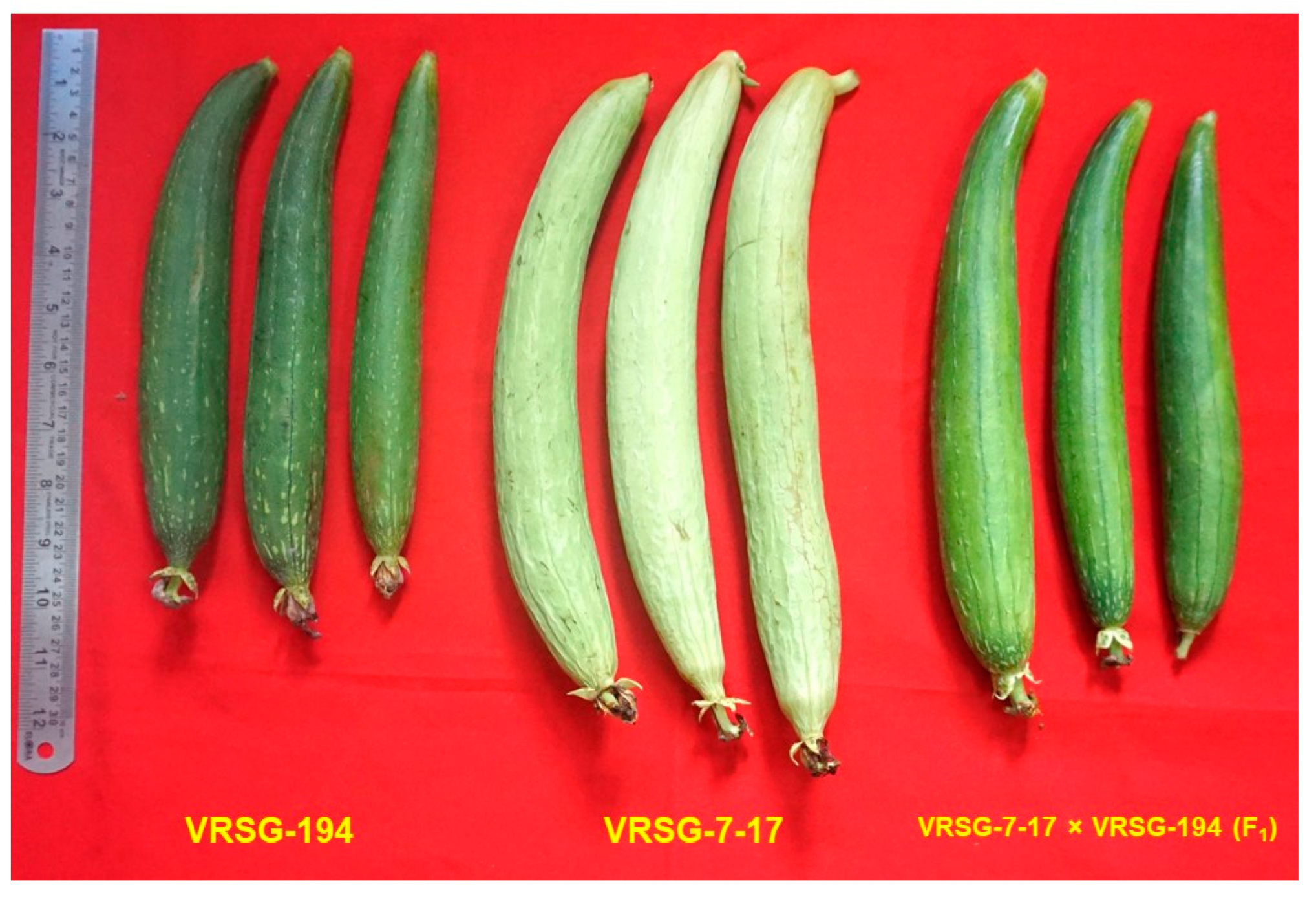 Plants 11 02881 g002