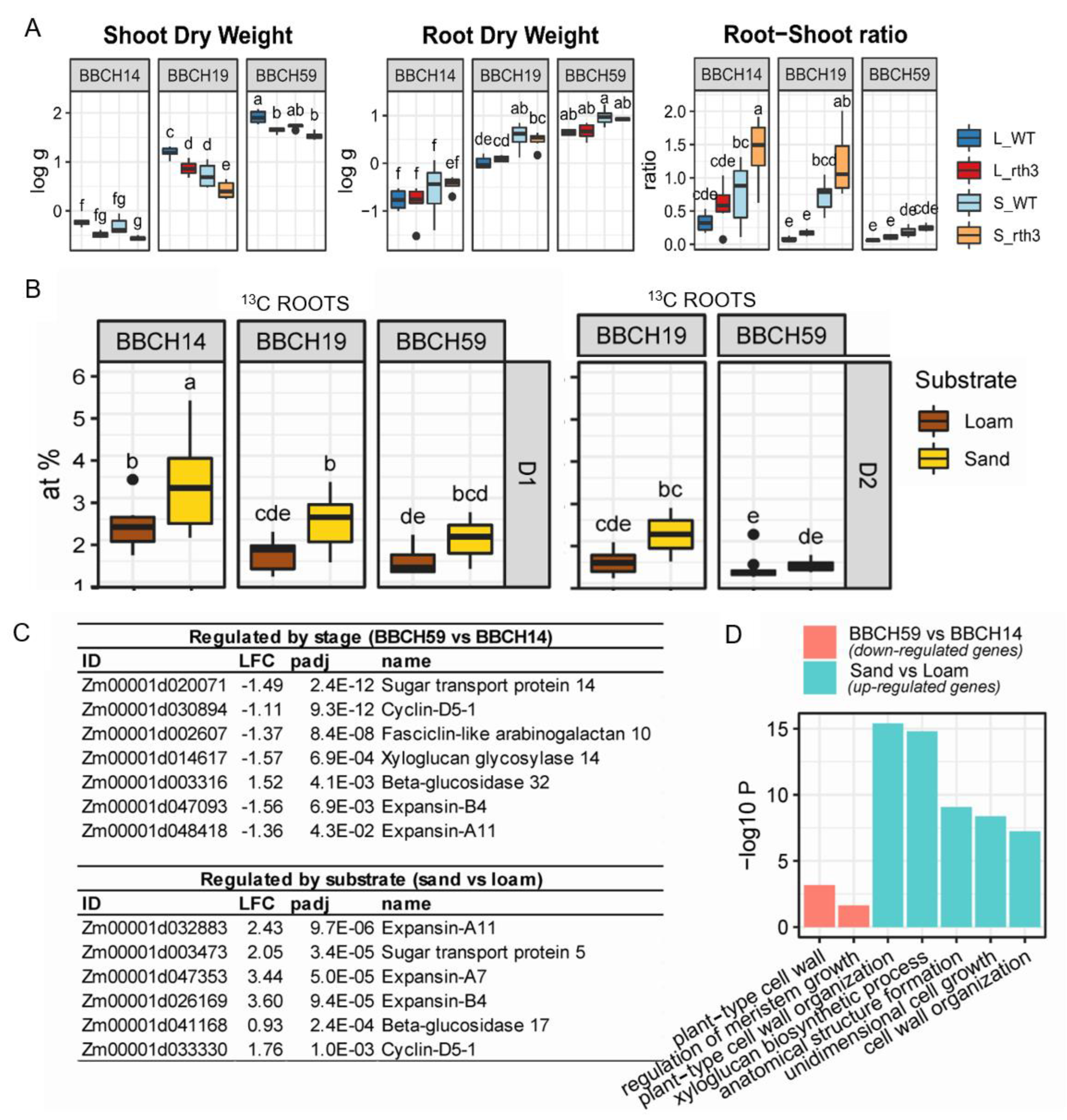 Plants 11 02883 g001