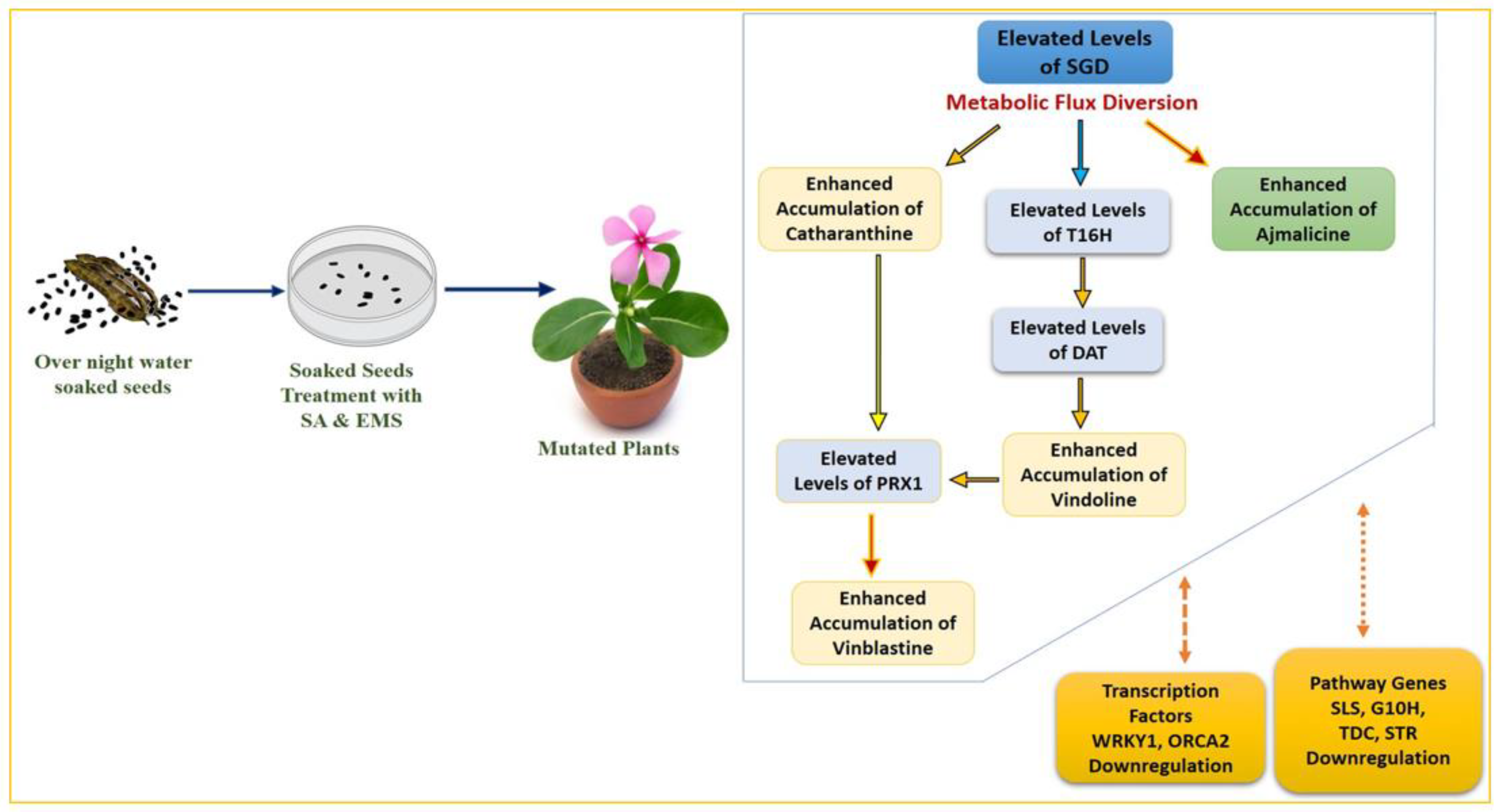 Plants 11 02885 g009