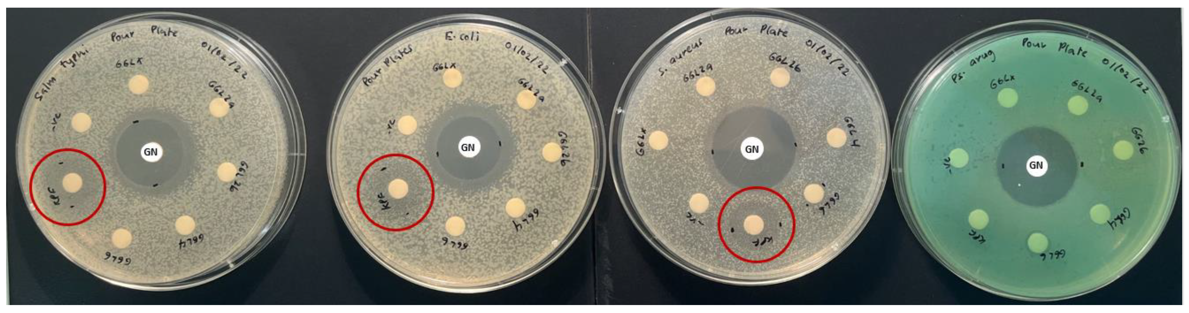 Plants 11 02886 g005 Plants 11 02886 g005