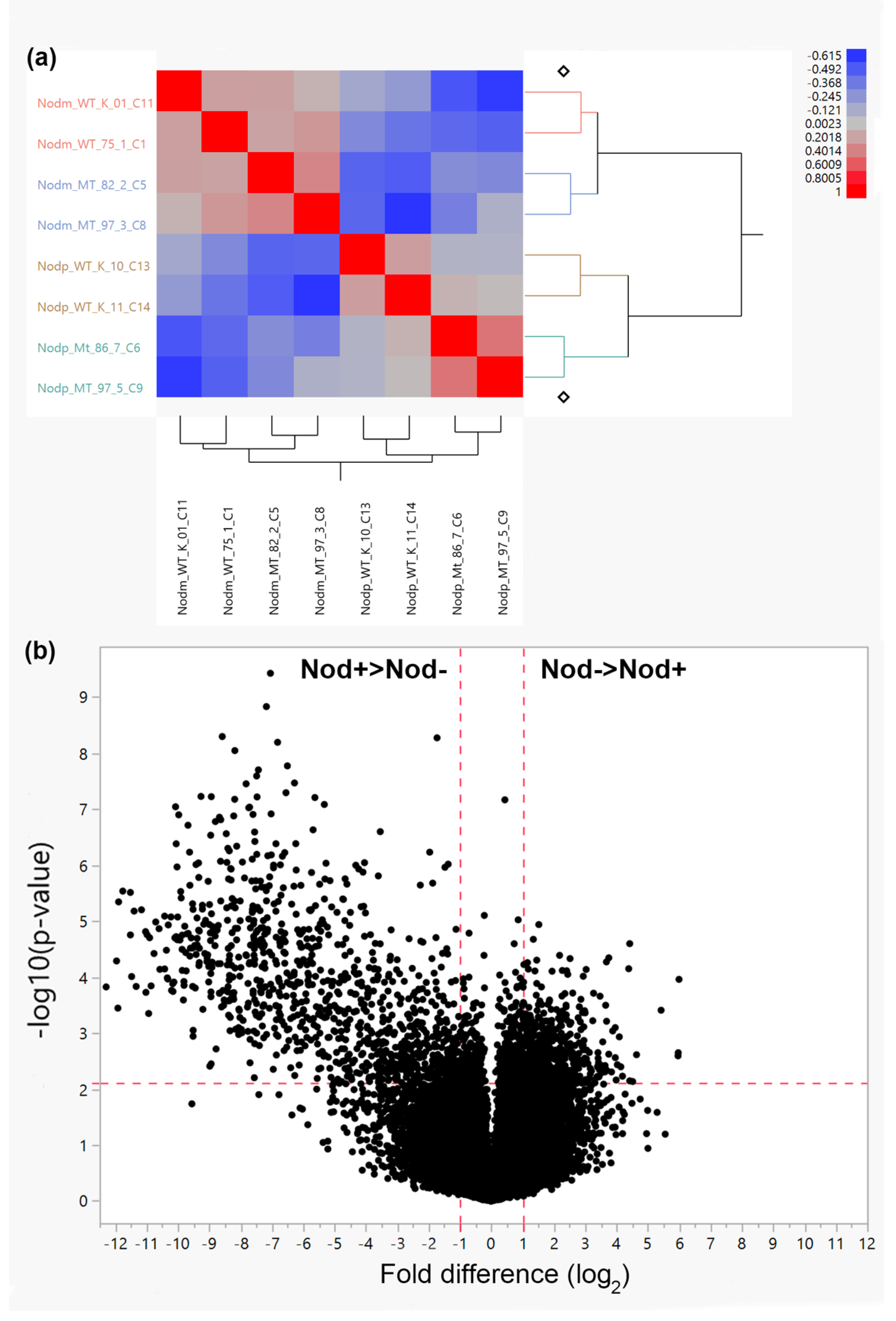 Plants 11 02888 g001 Plants 11 02888 g001