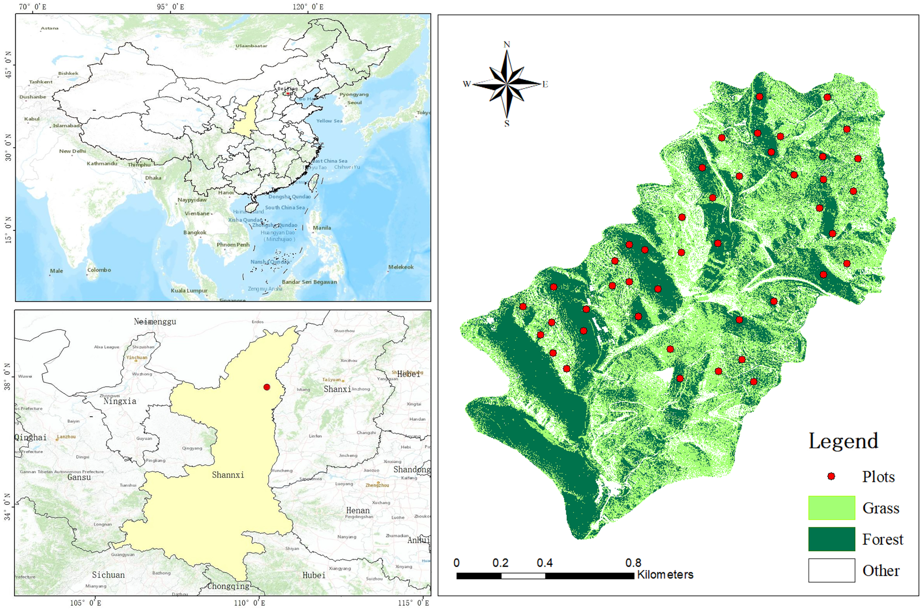 Plants 11 02891 g001