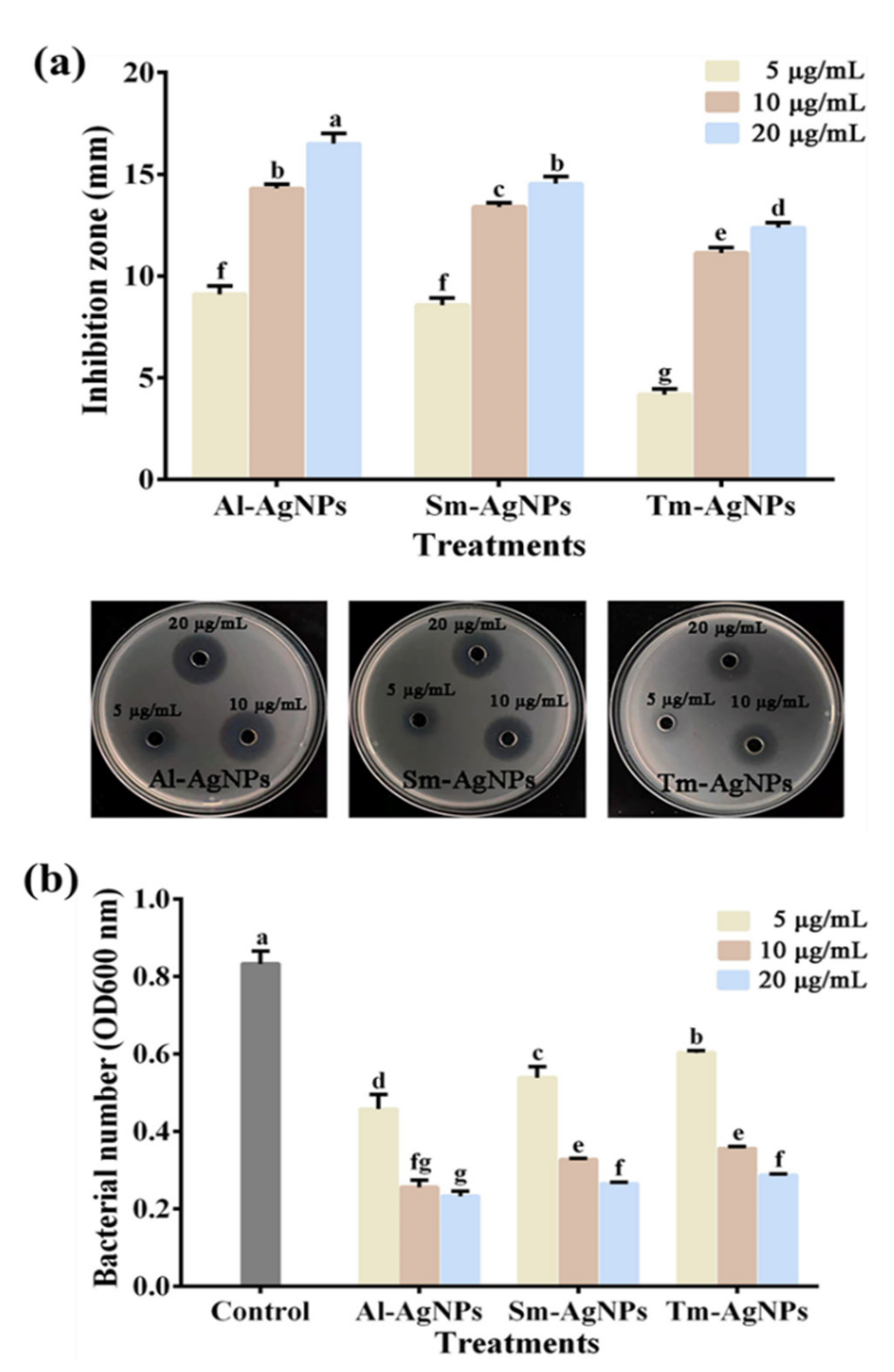 Plants 11 02892 g004