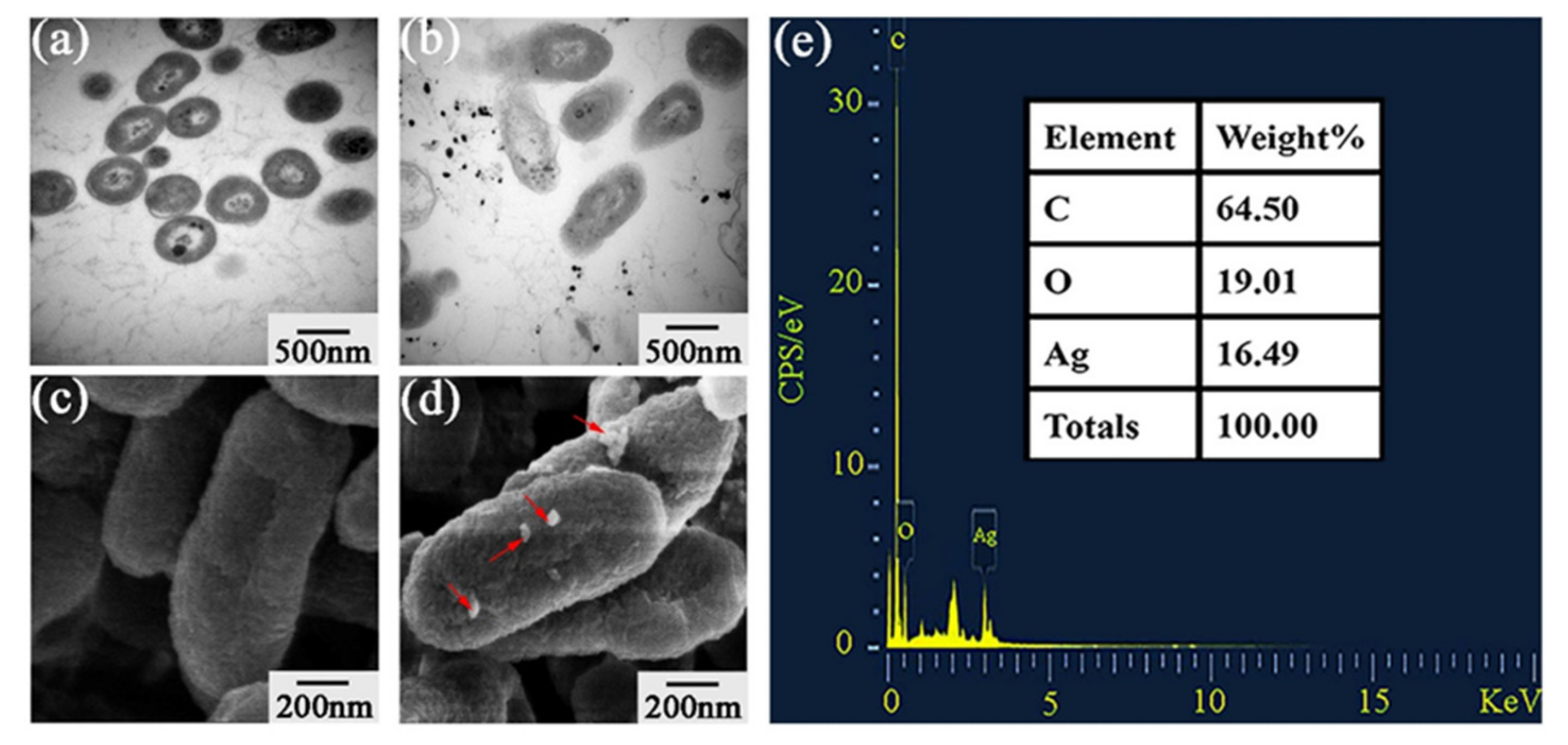 Plants 11 02892 g007