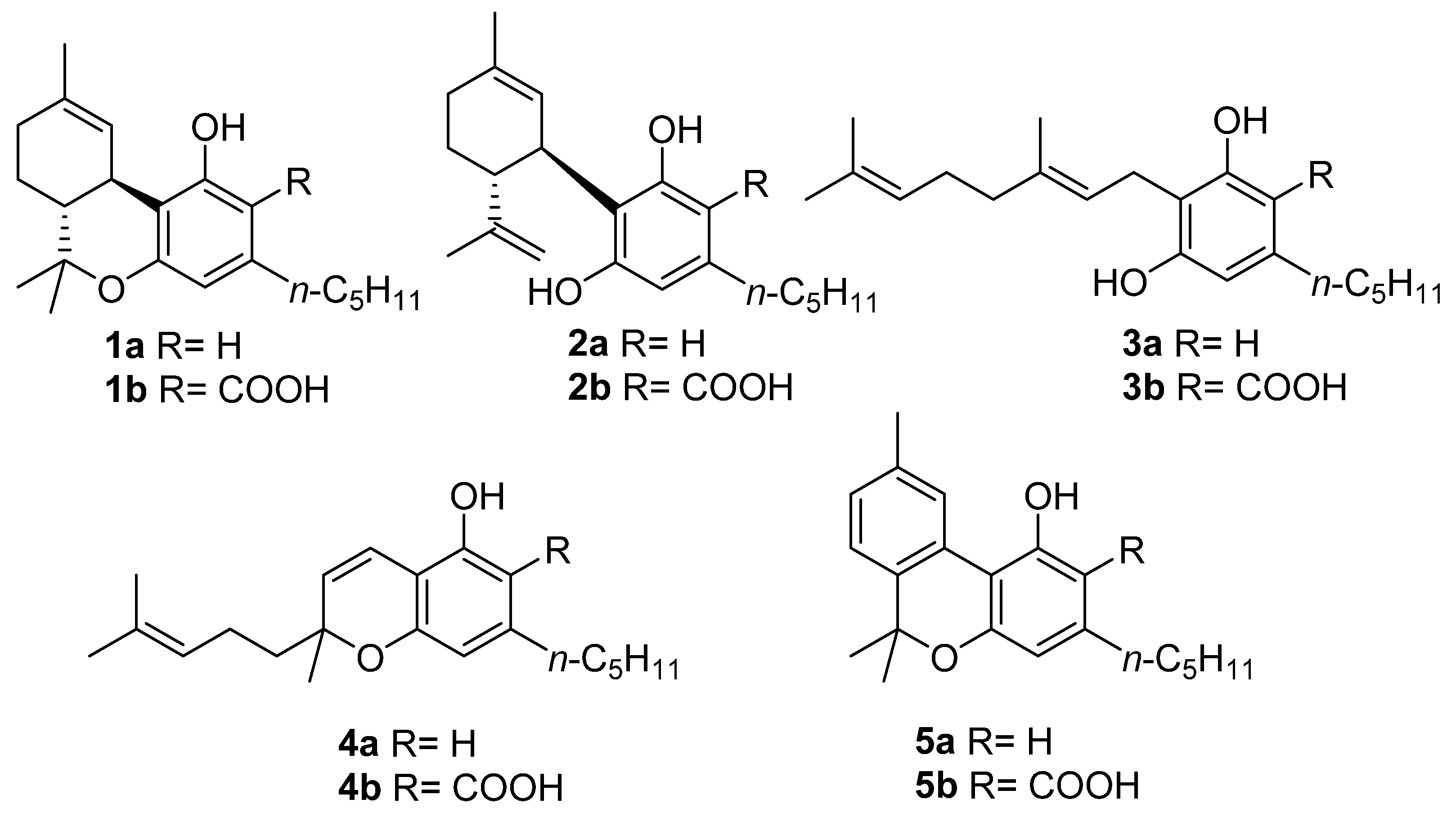 Plants 11 02896 g001