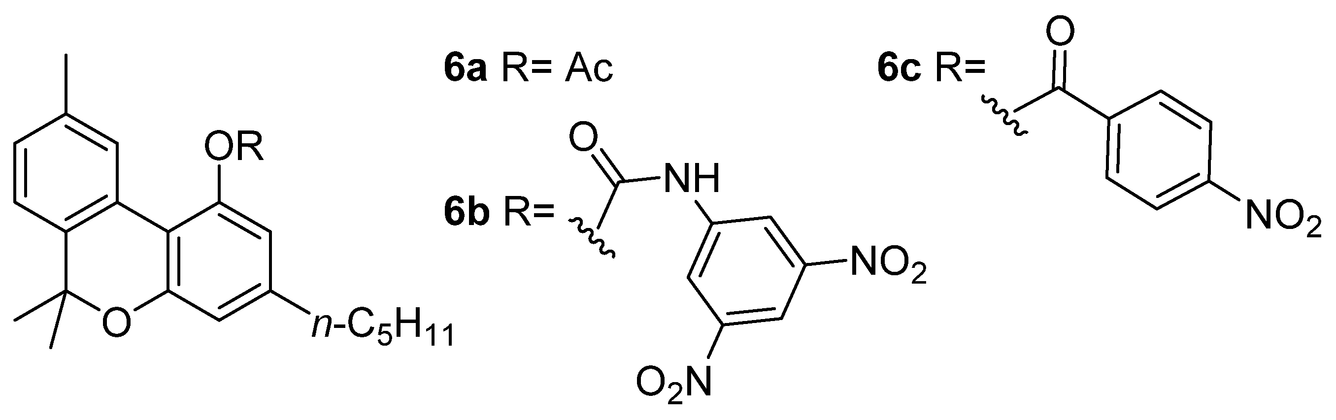 Plants 11 02896 g002