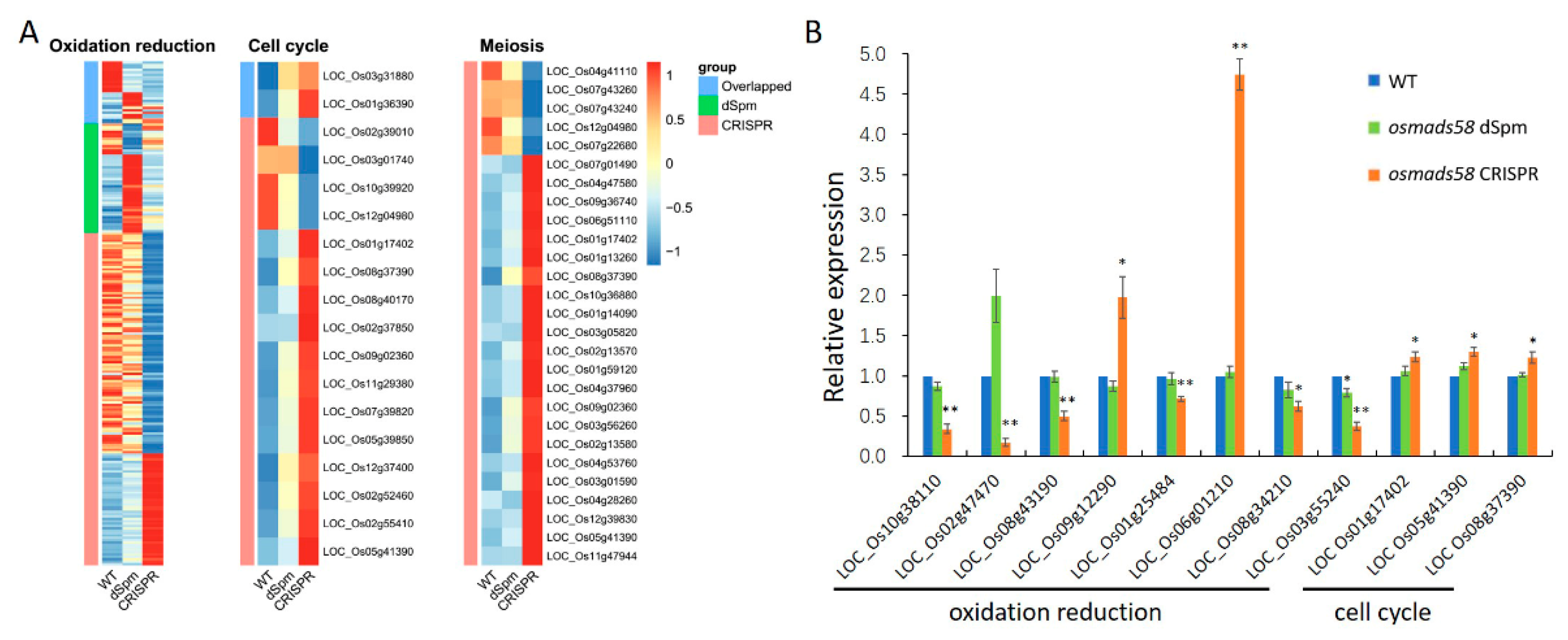 Plants 11 02899 g007 Plants 11 02899 g007