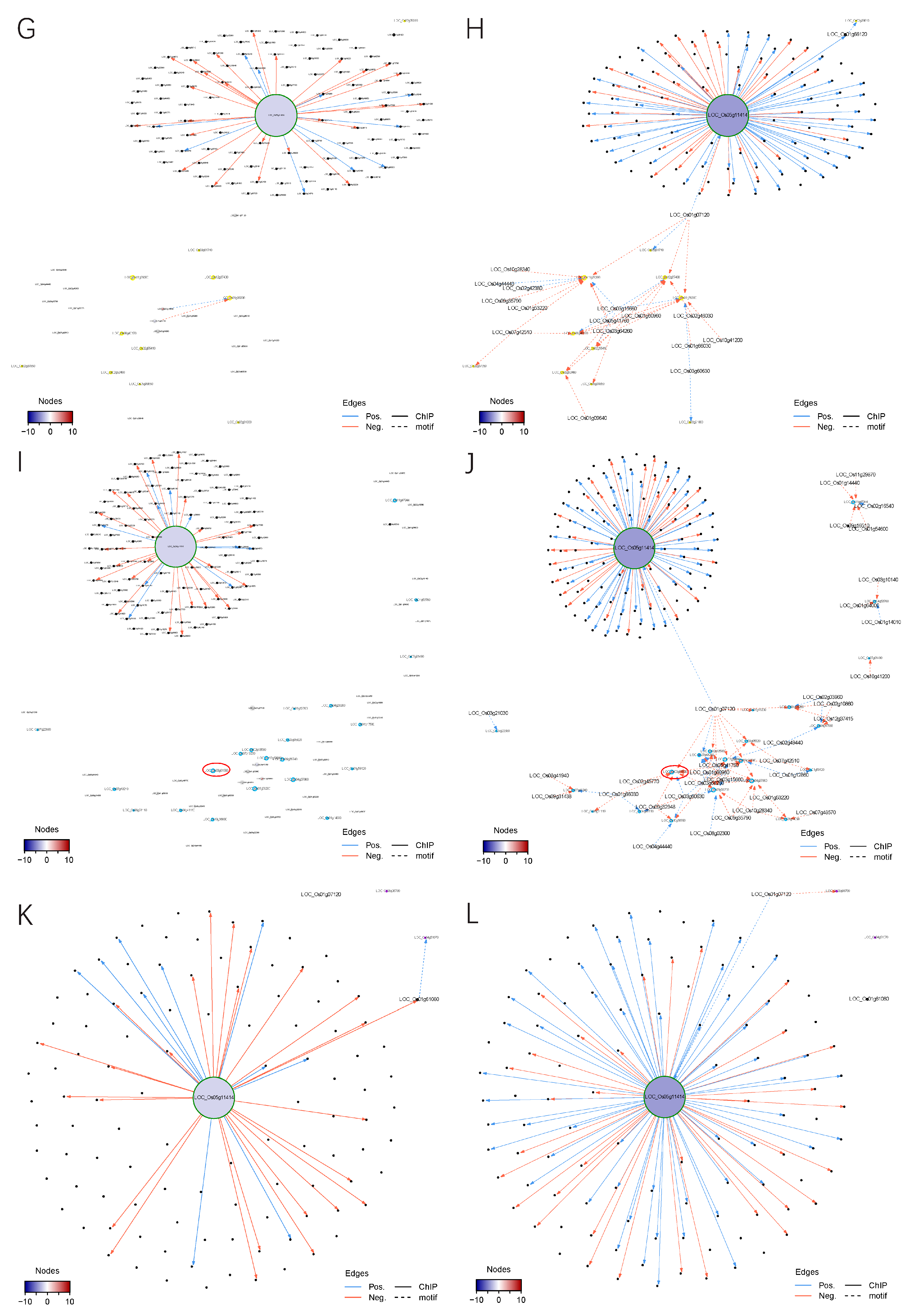 Plants 11 02899 g008b Plants 11 02899 g008b