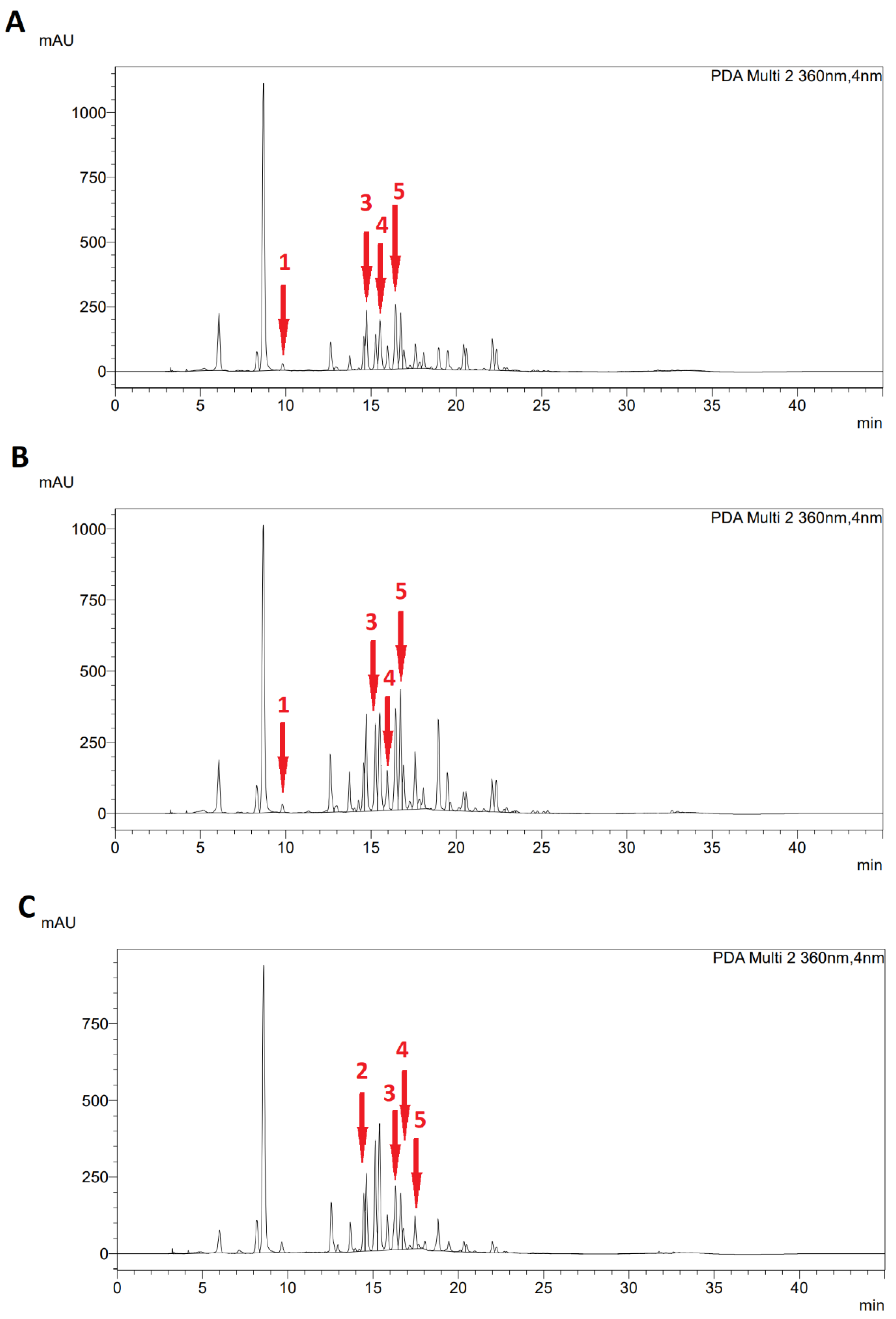 Plants 11 02906 g006