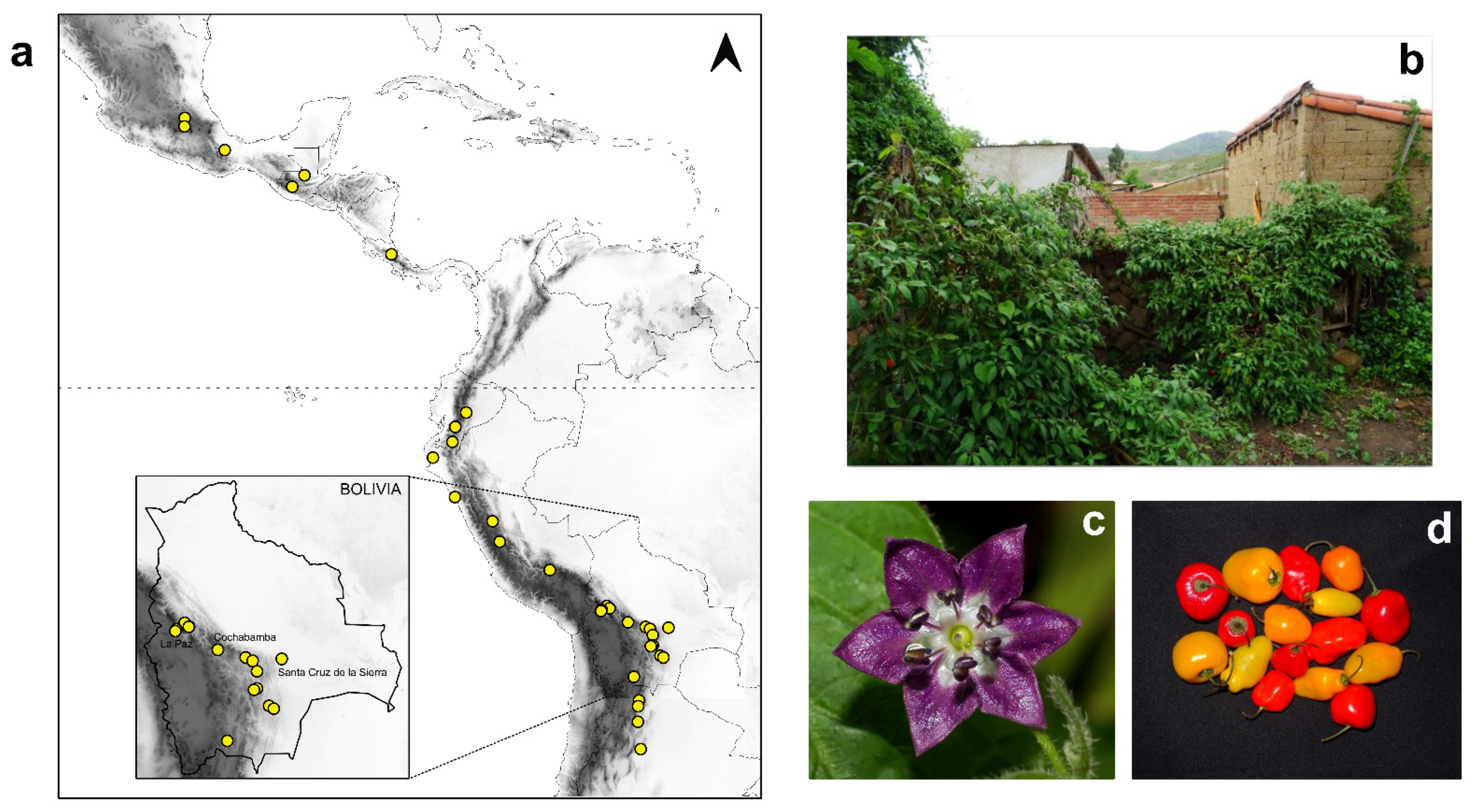 Plants 11 02911 g001 Plants 11 02911 g001