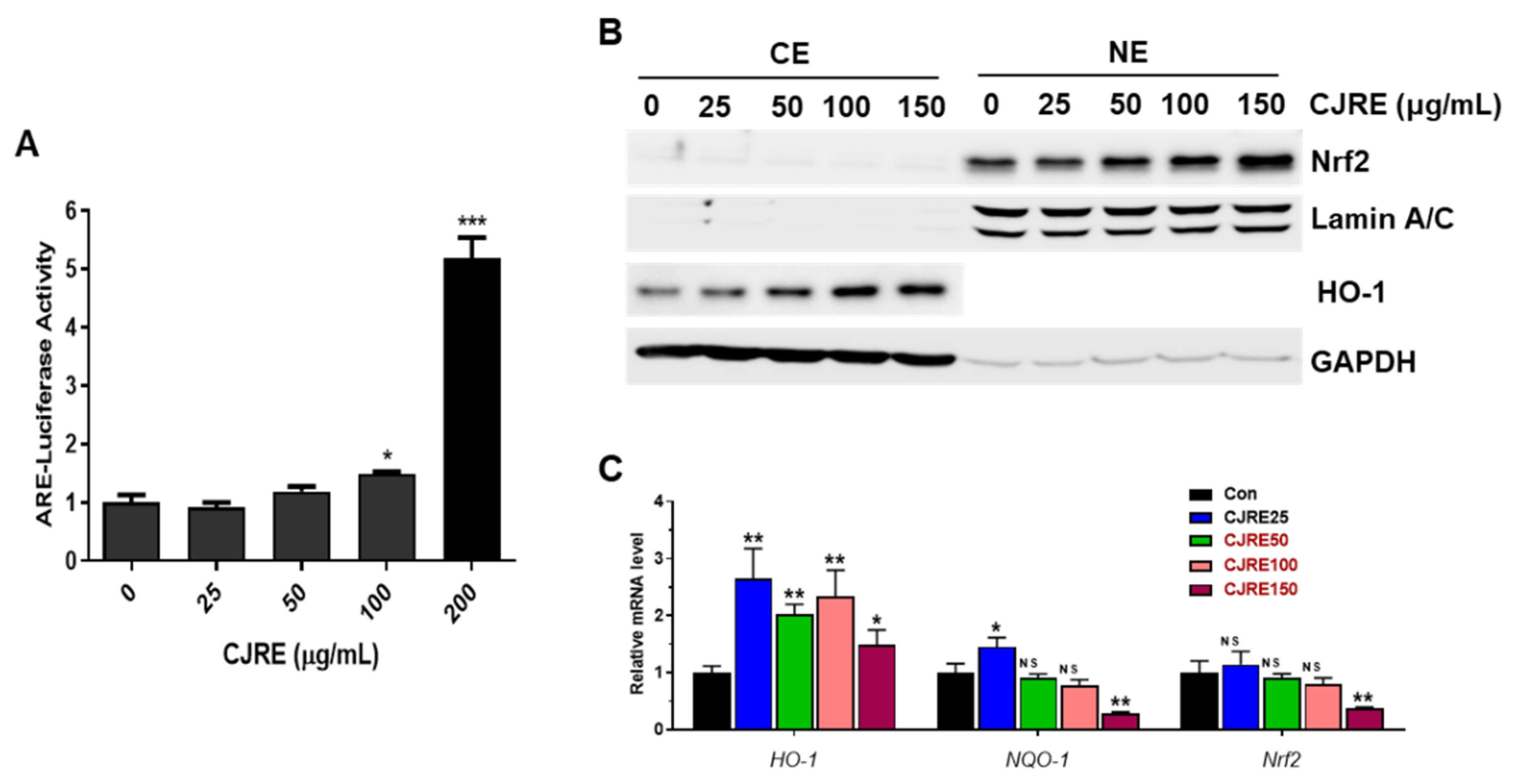 Plants 11 02914 g001 Plants 11 02914 g001