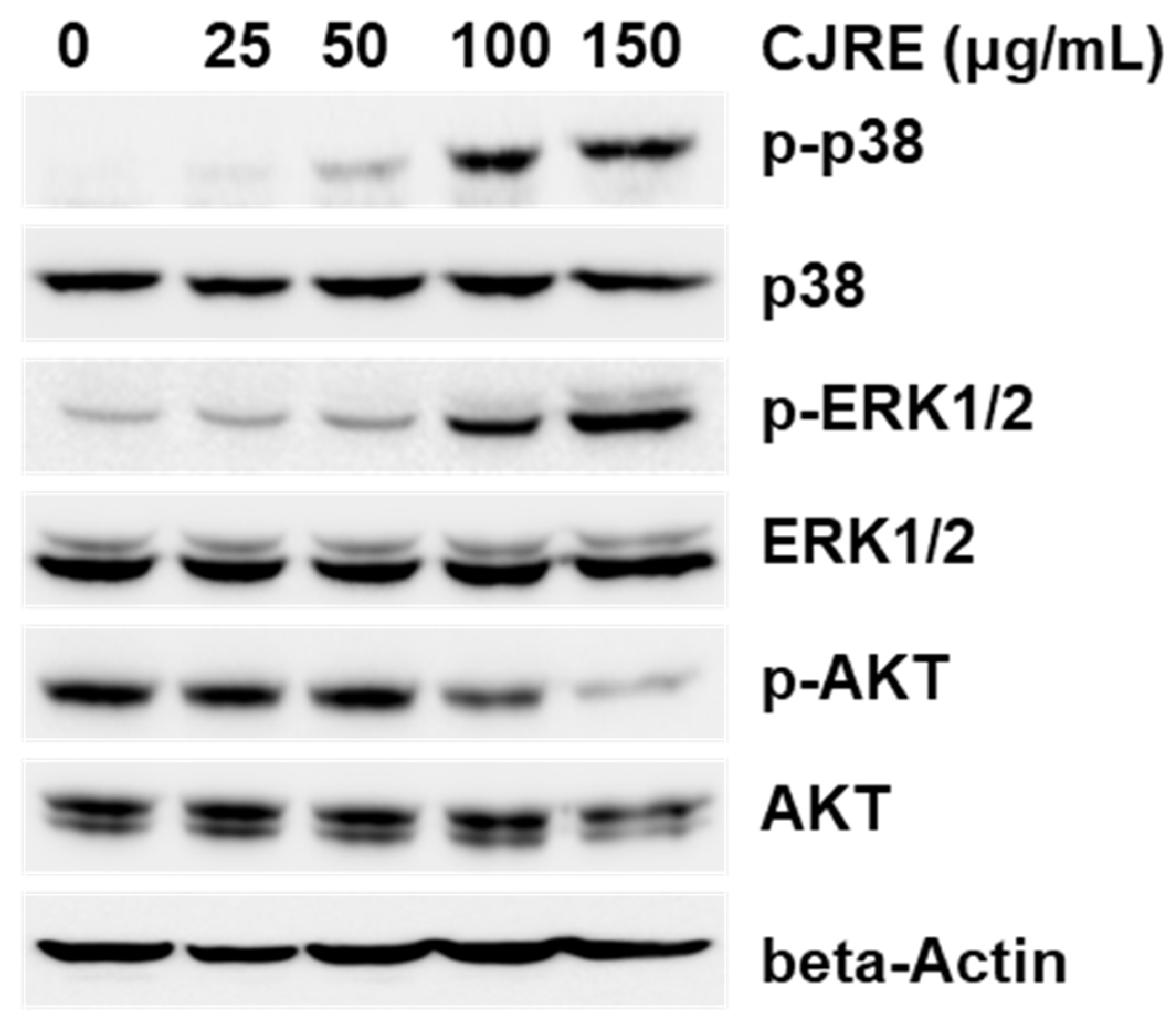Plants 11 02914 g005 Plants 11 02914 g005