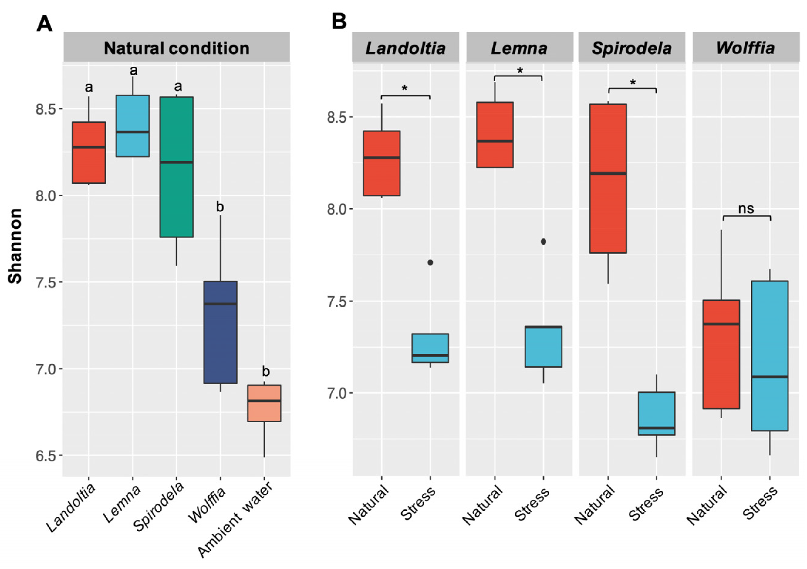Plants 11 02915 g001