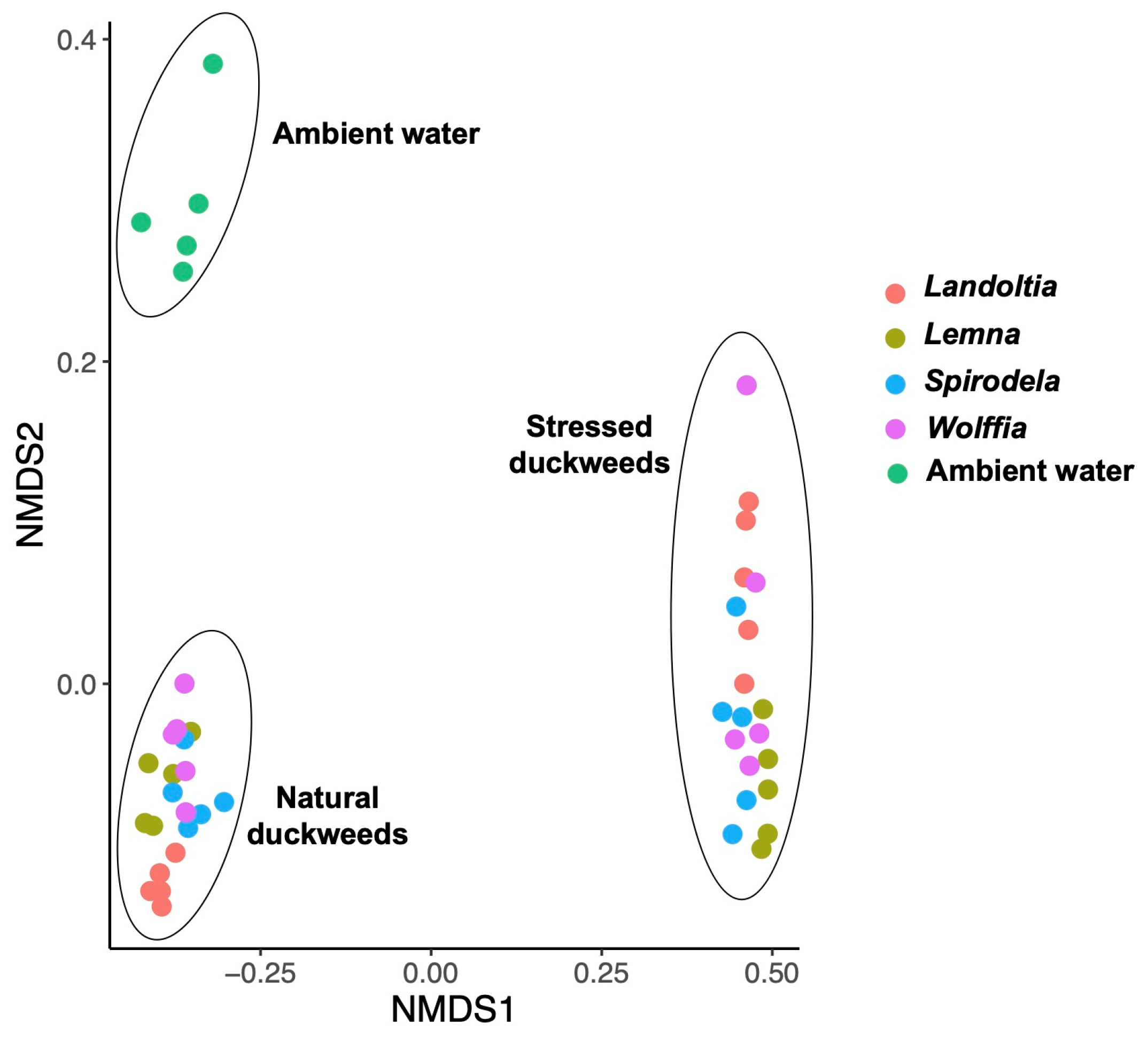 Plants 11 02915 g002