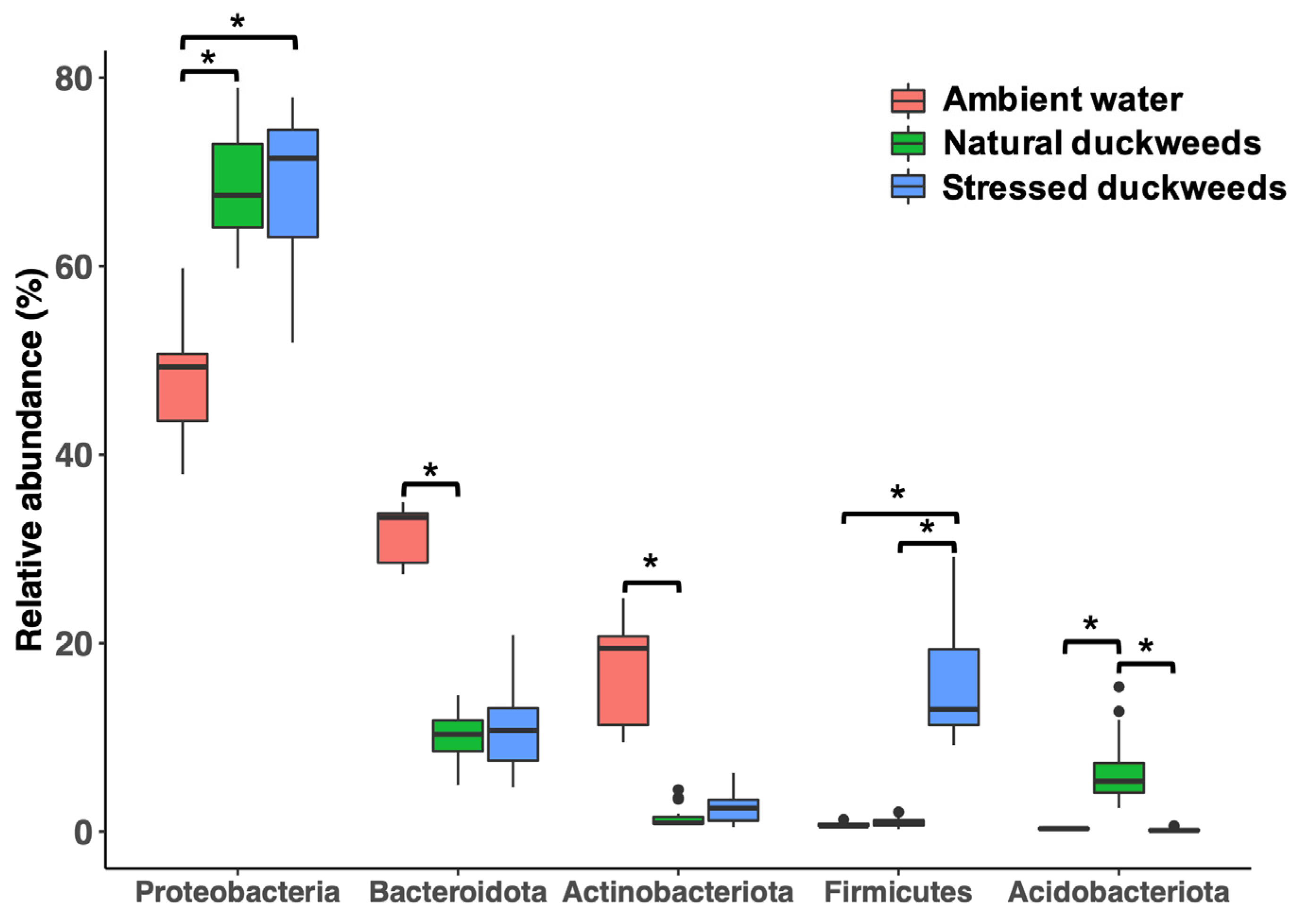 Plants 11 02915 g003