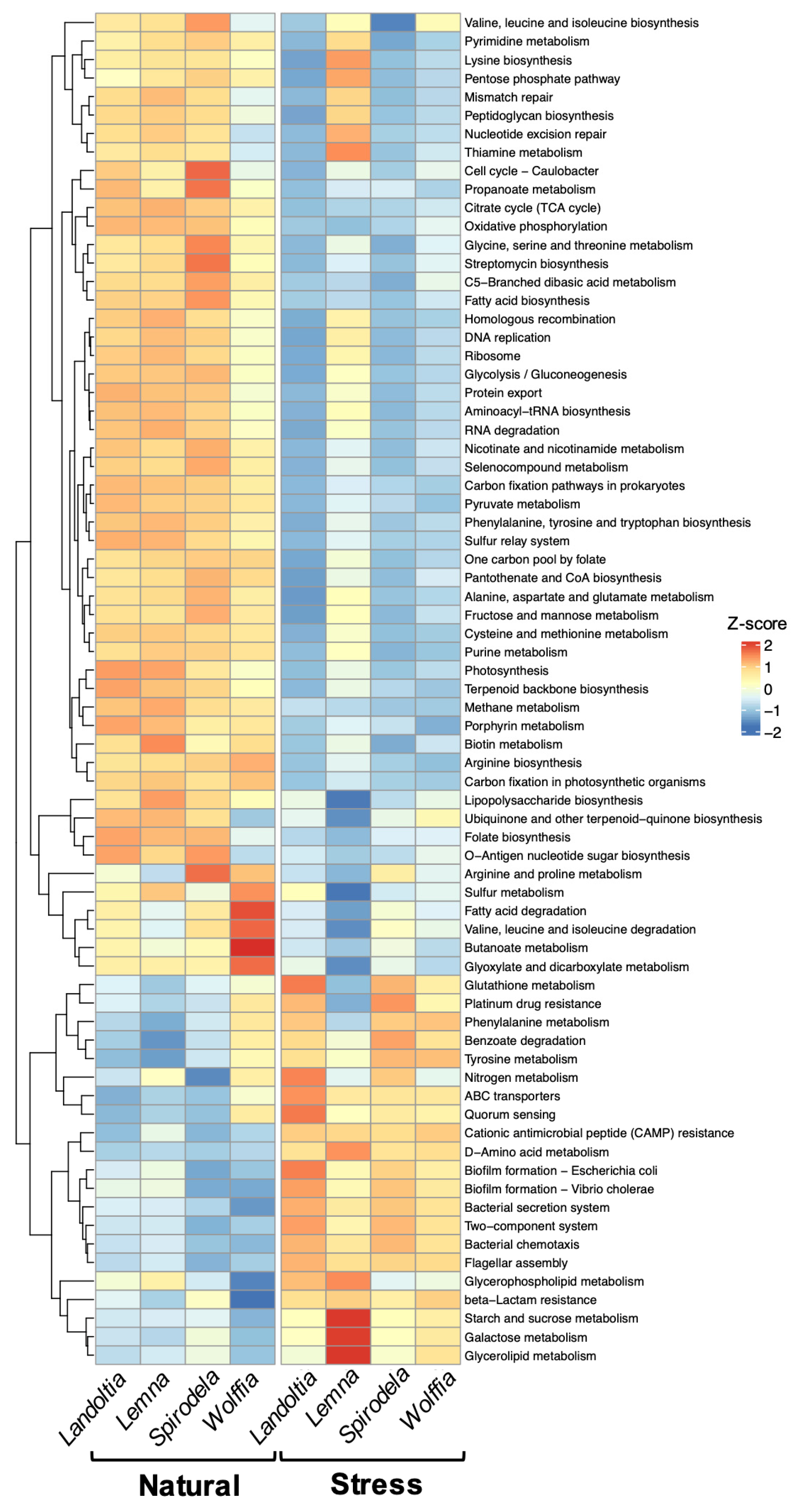 Plants 11 02915 g006