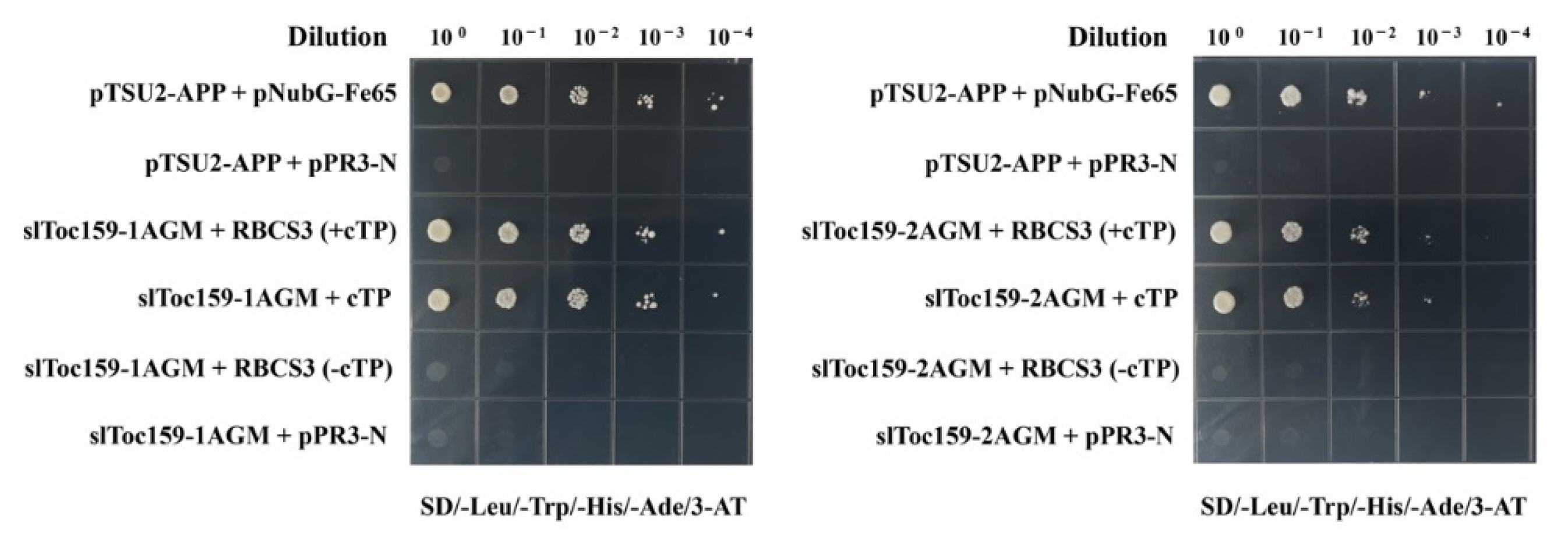 Plants 11 02923 g003