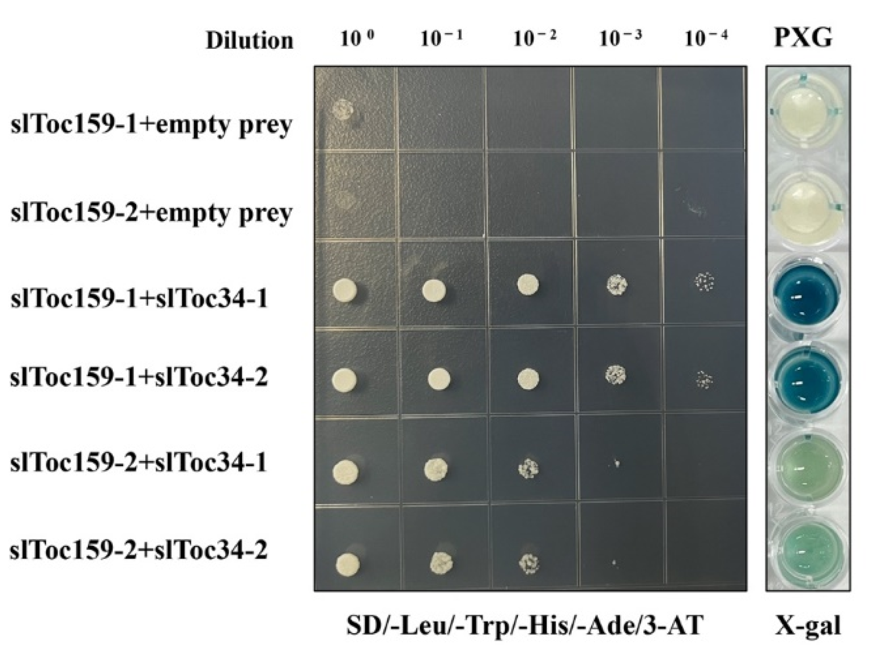 Plants 11 02923 g004
