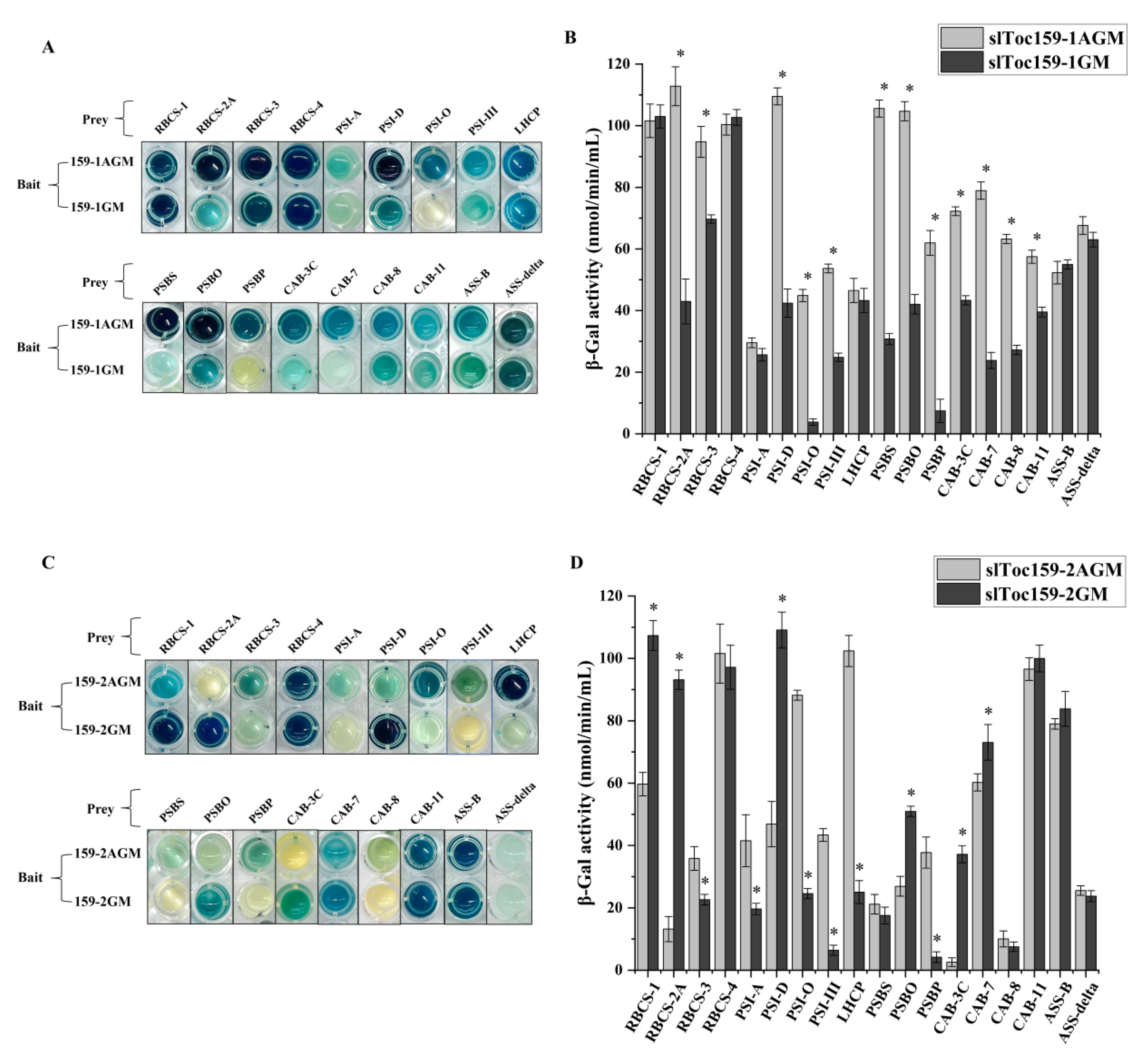 Plants 11 02923 g005