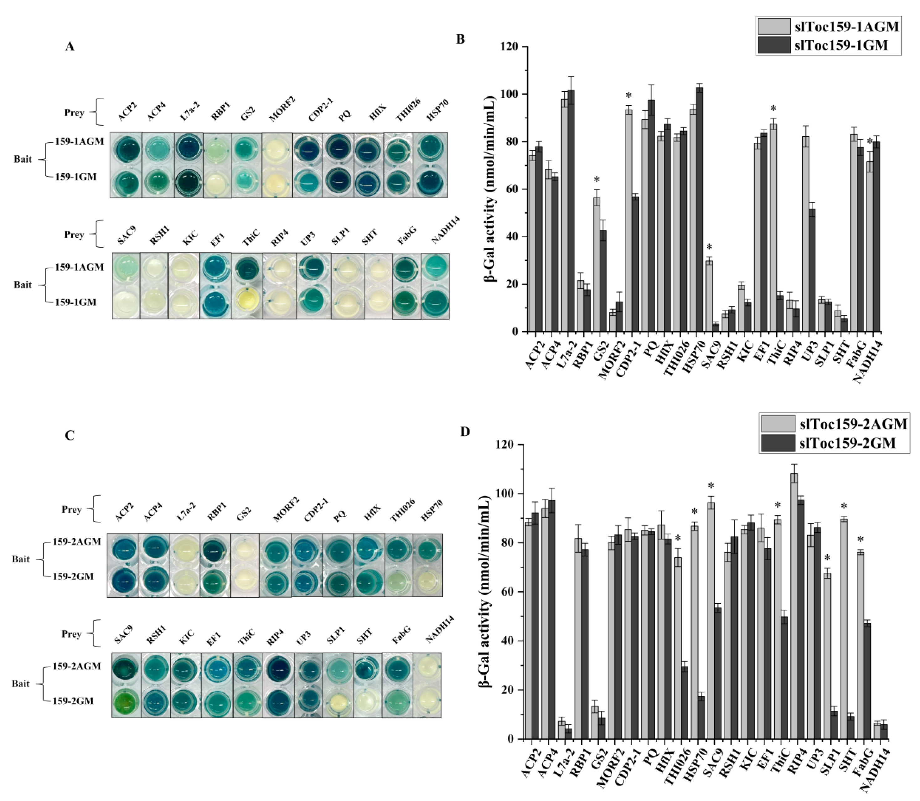 Plants 11 02923 g006