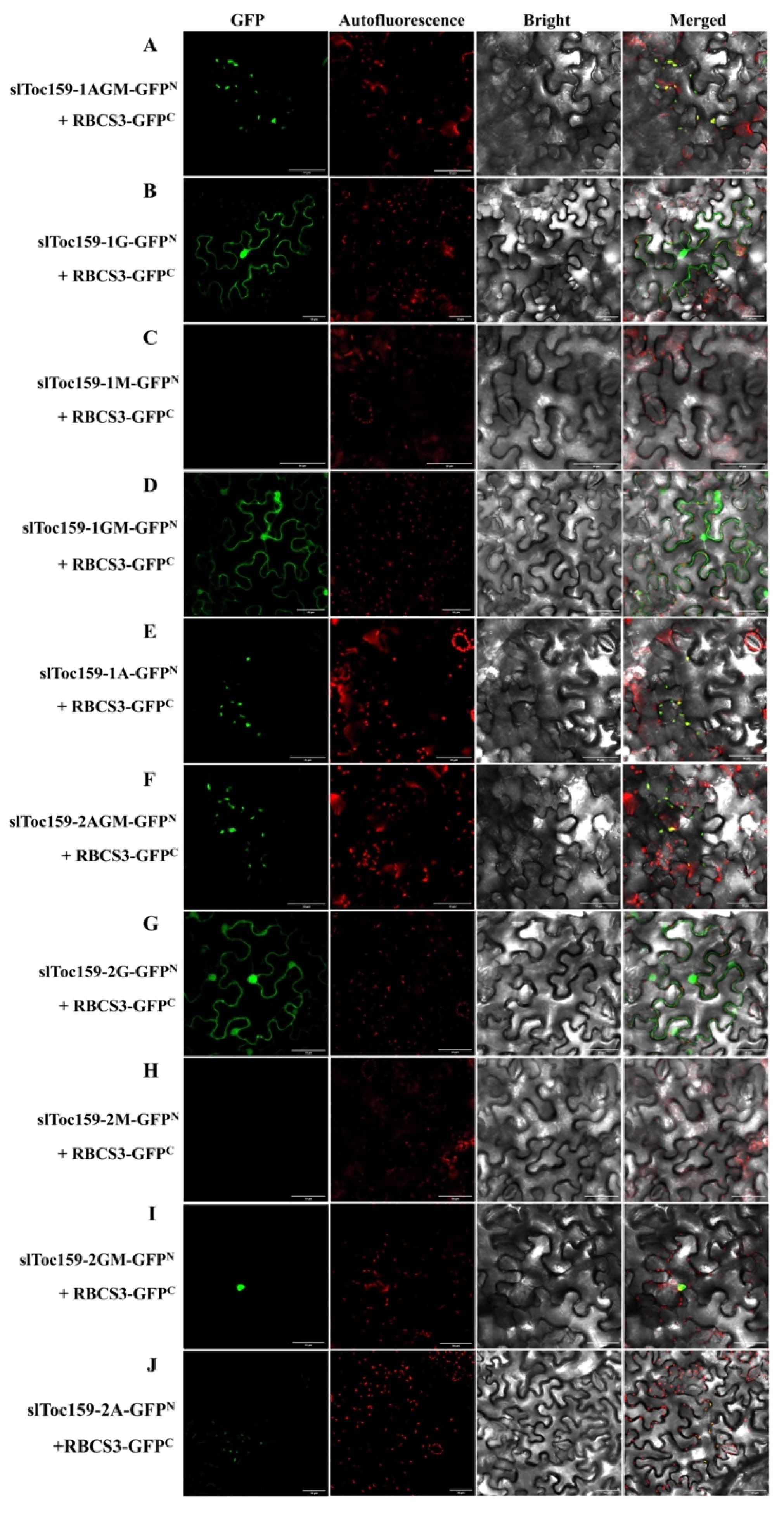 Plants 11 02923 g007