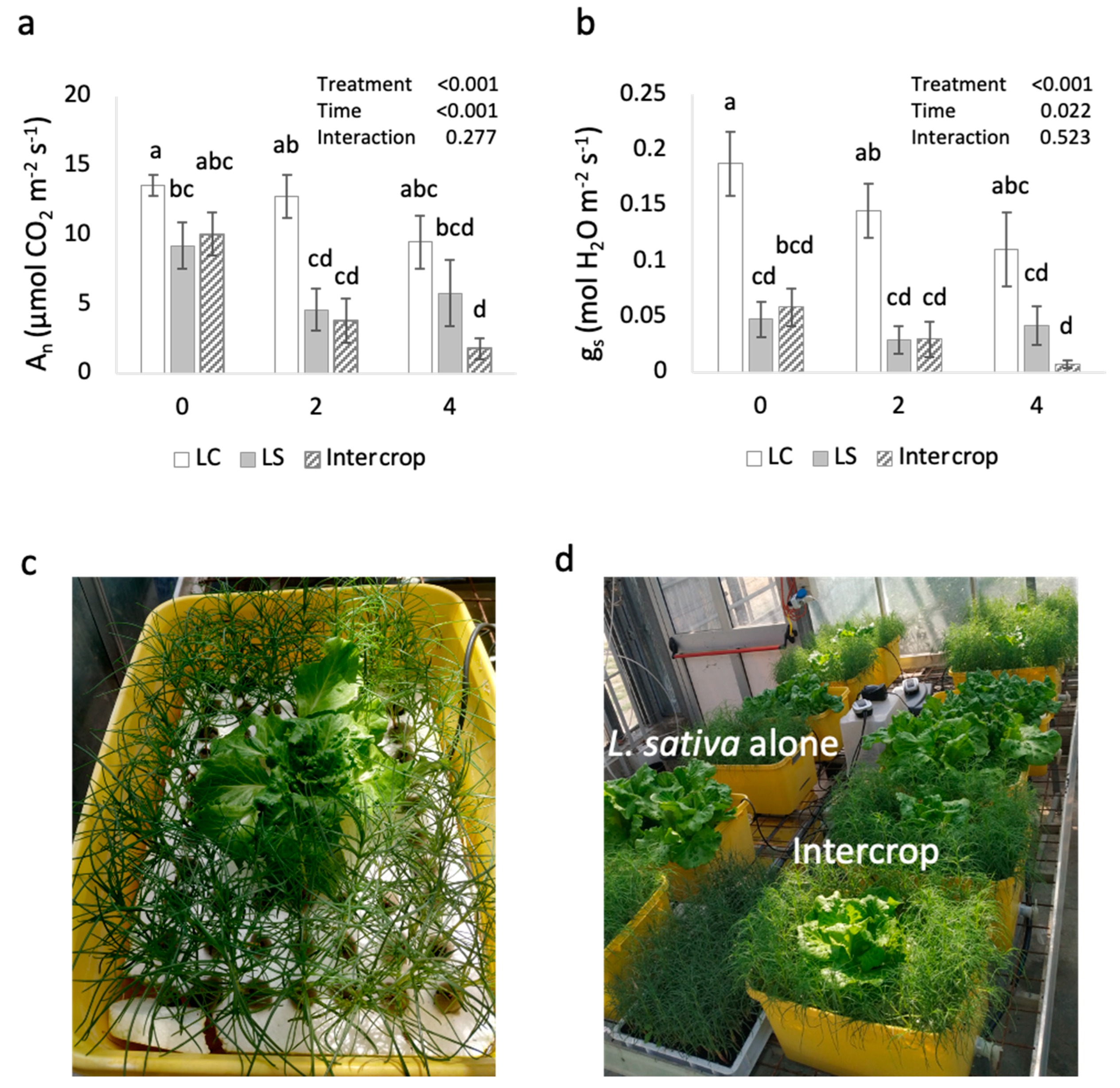 Plants 11 02924 g002