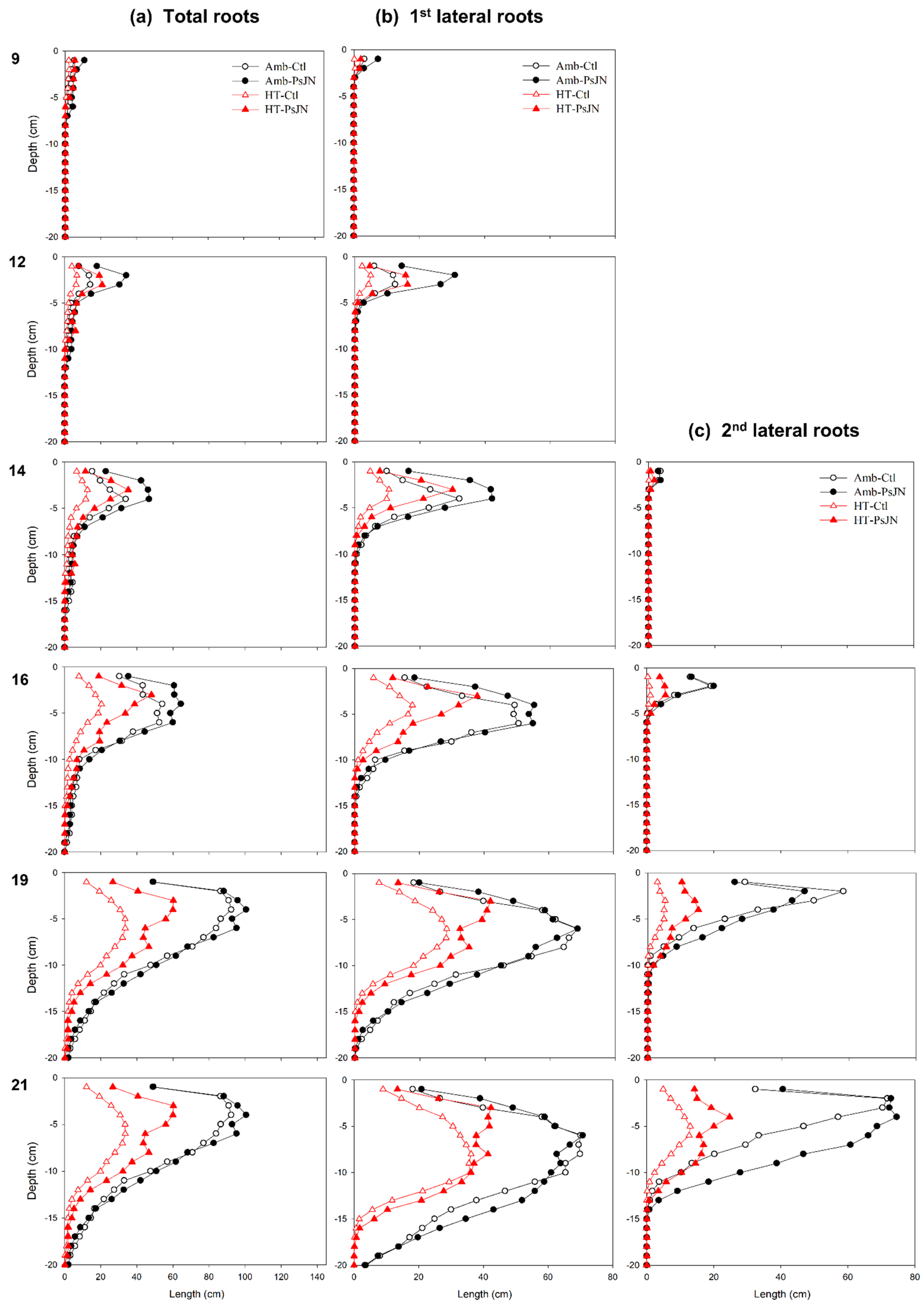 Plants 11 02927 g004 Plants 11 02927 g004