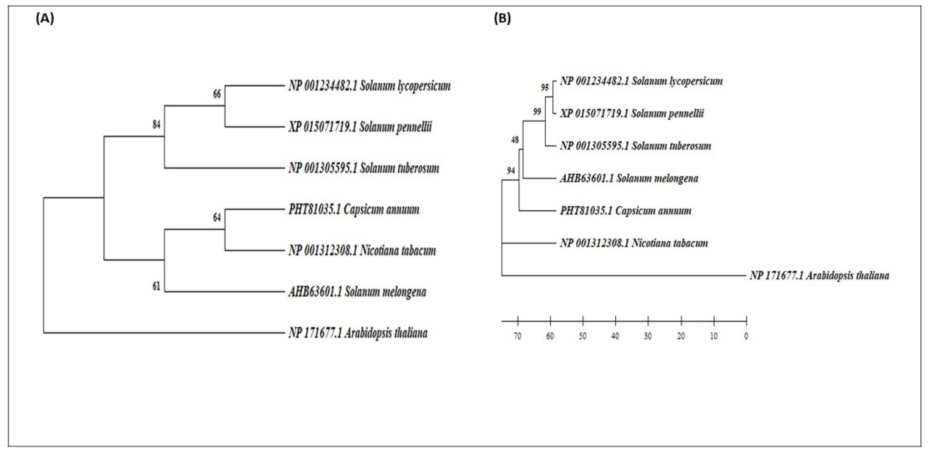 Plants 11 02930 g001