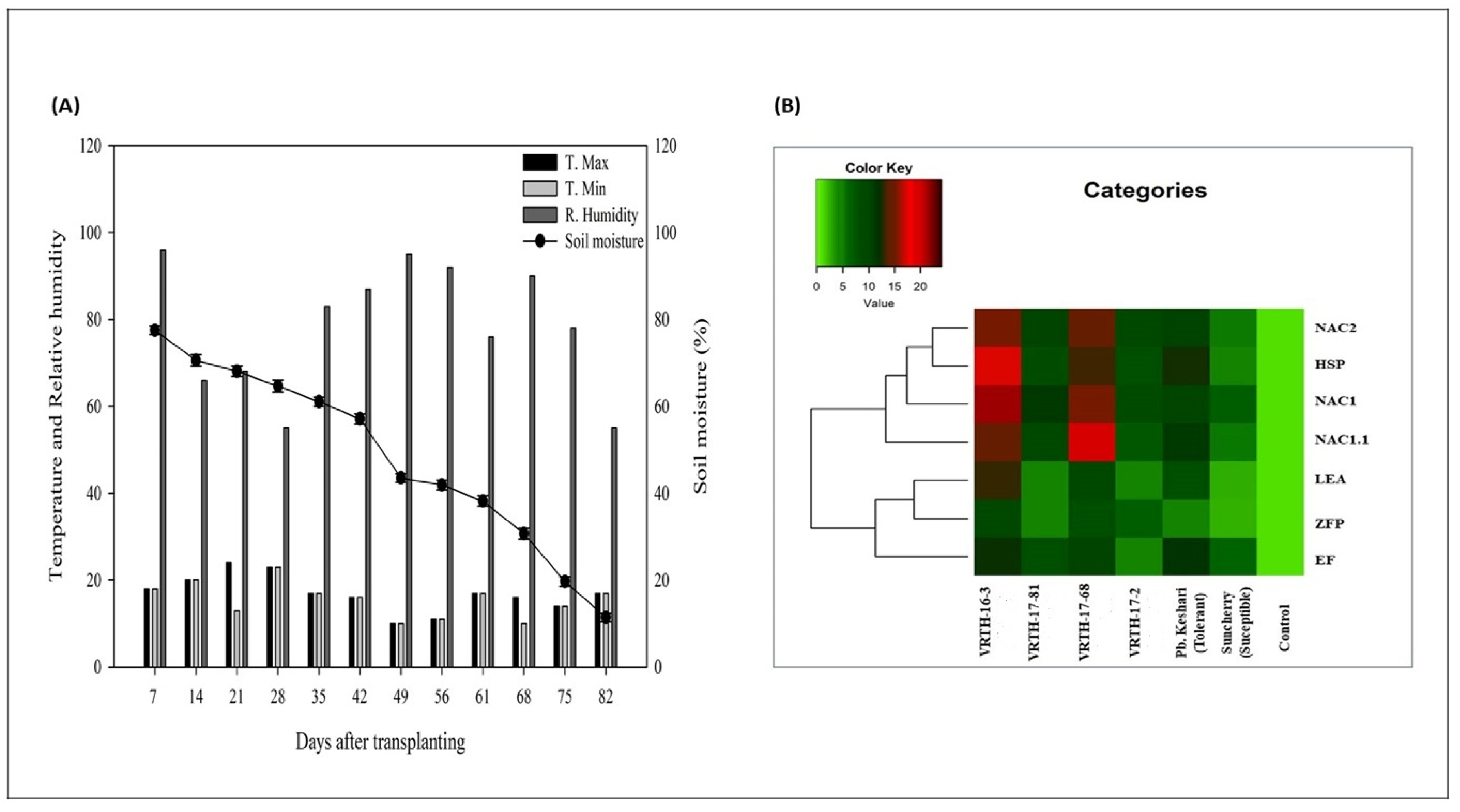 Plants 11 02930 g007