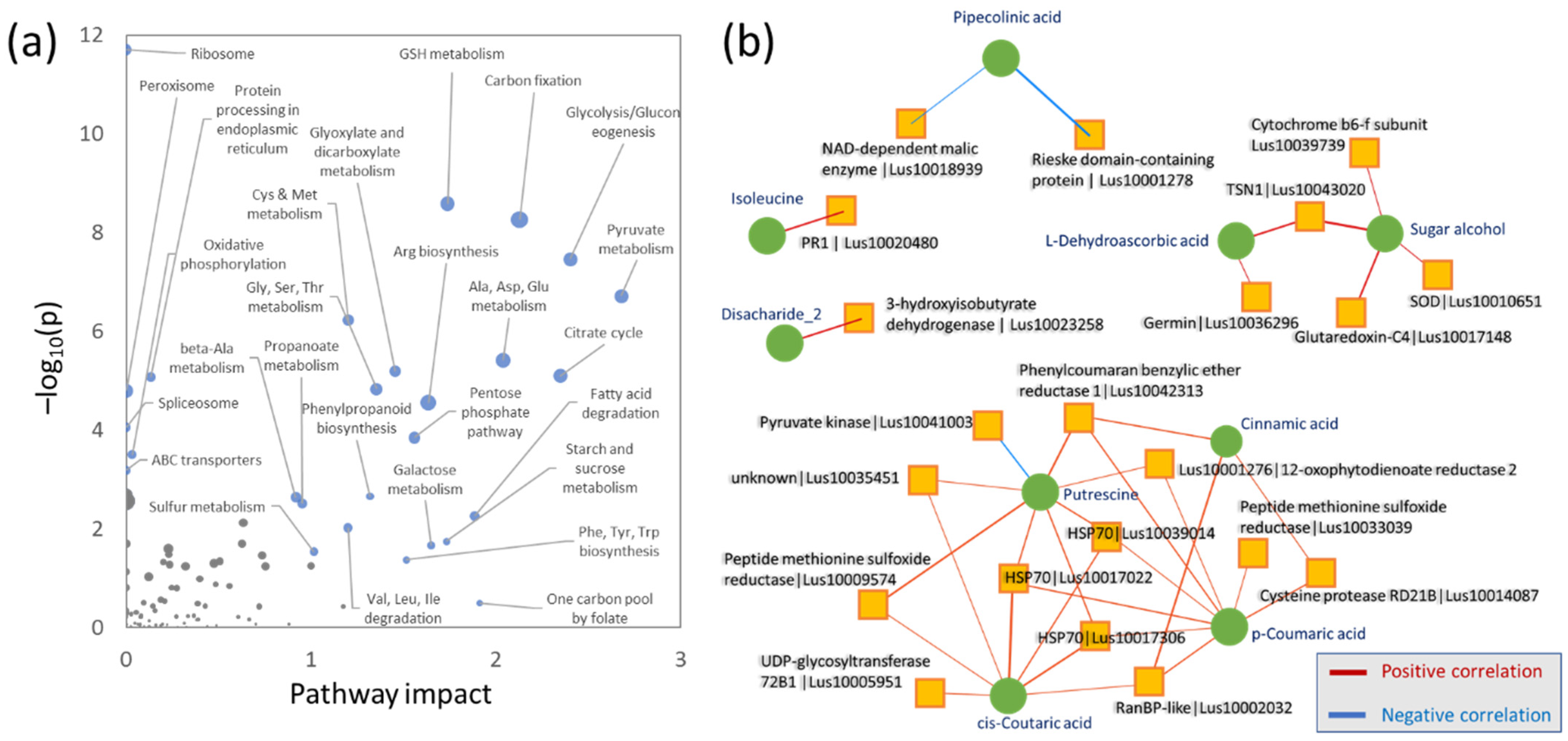 Plants 11 02931 g007 Plants 11 02931 g007