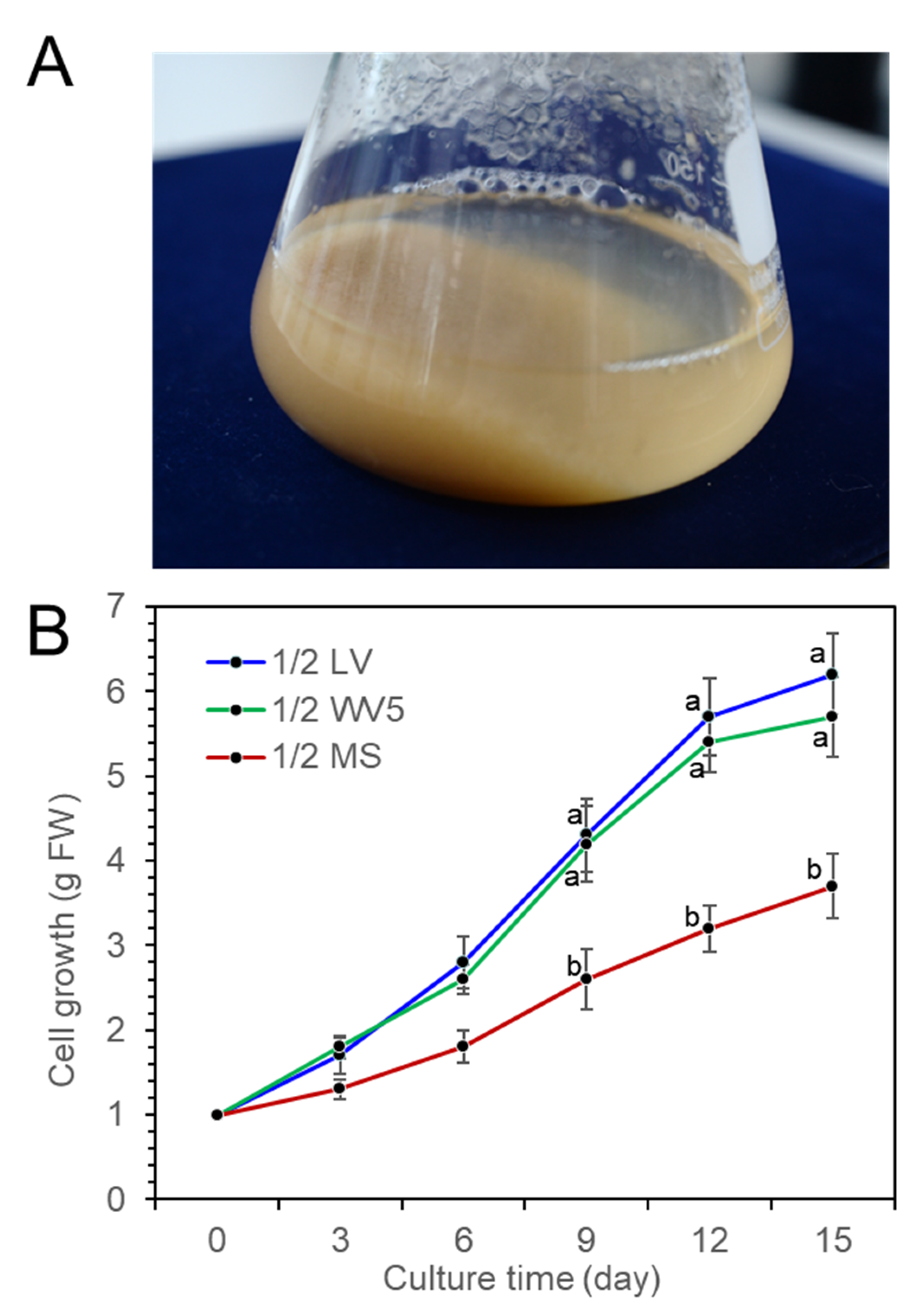 Plants 11 02933 g003