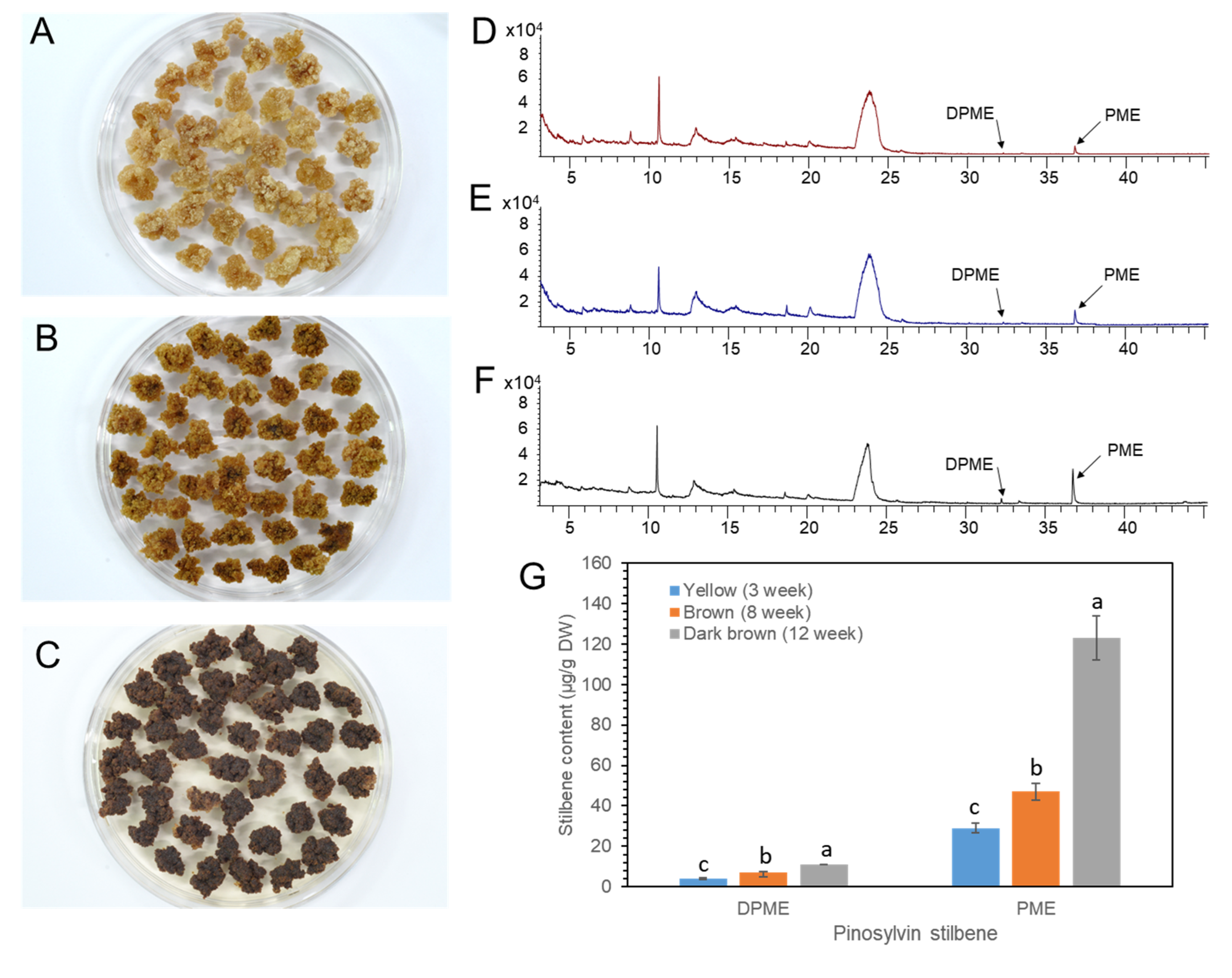 Plants 11 02933 g008