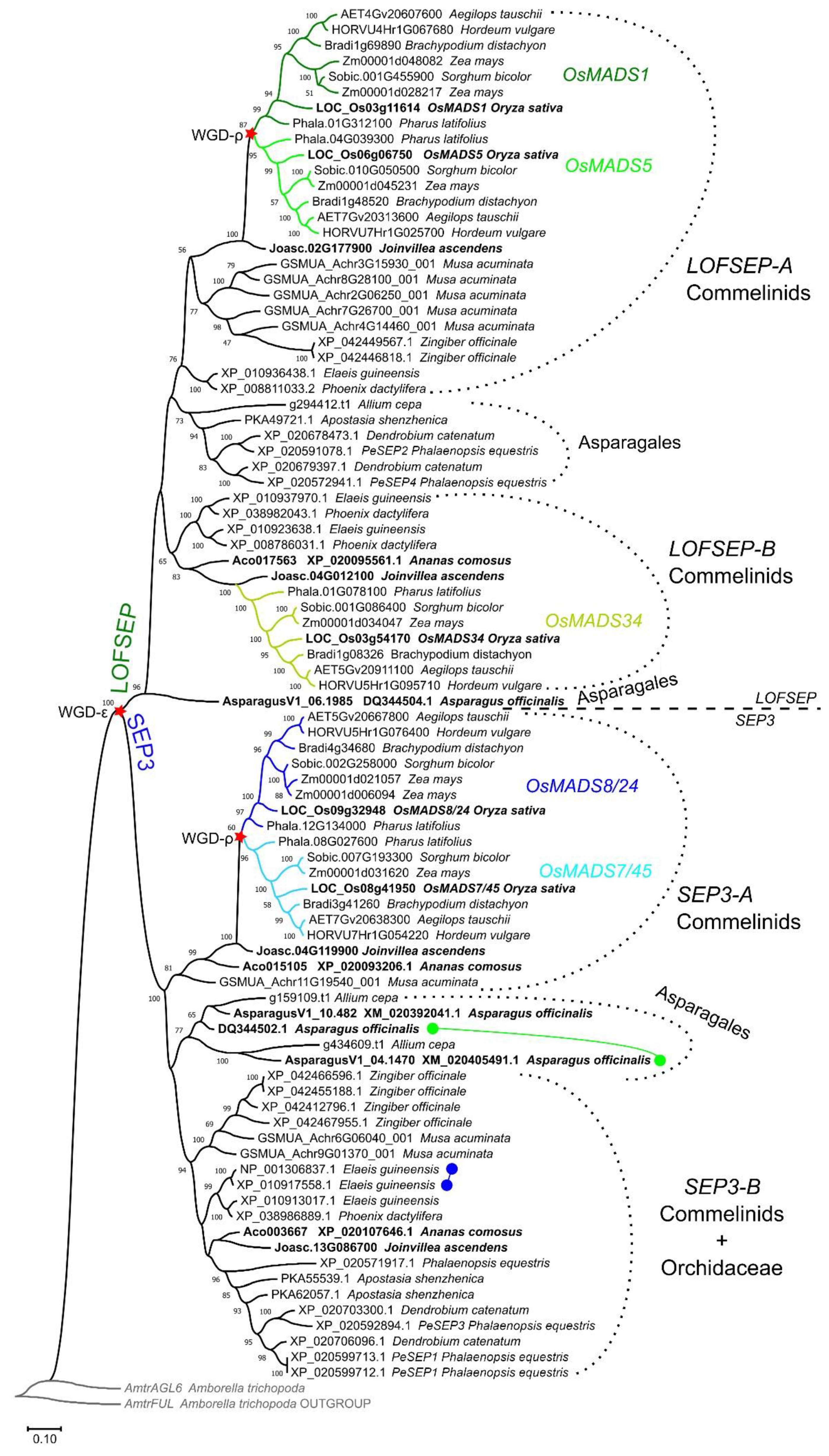 Plants 11 02934 g001 Plants 11 02934 g001