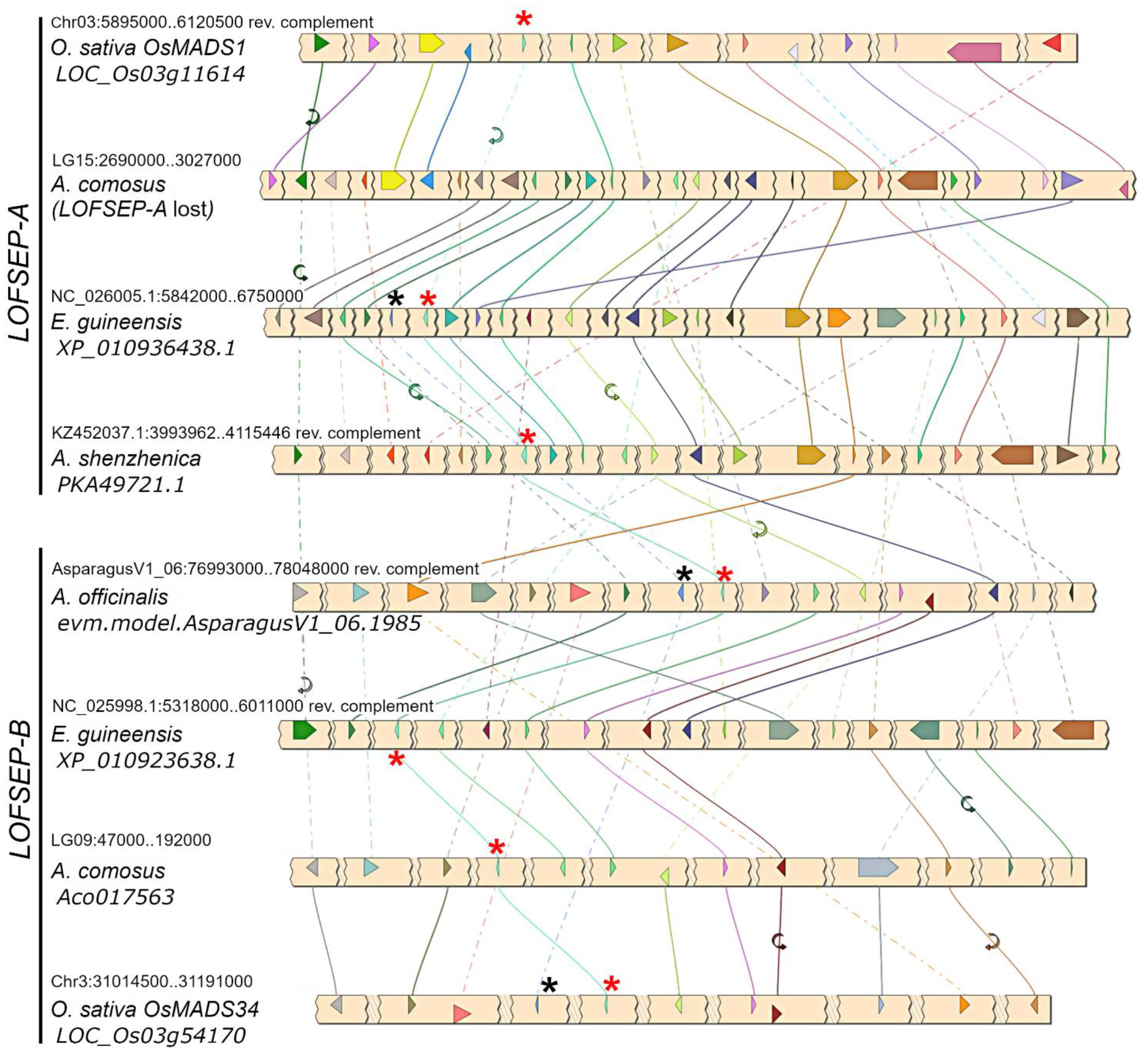 Plants 11 02934 g002 Plants 11 02934 g002