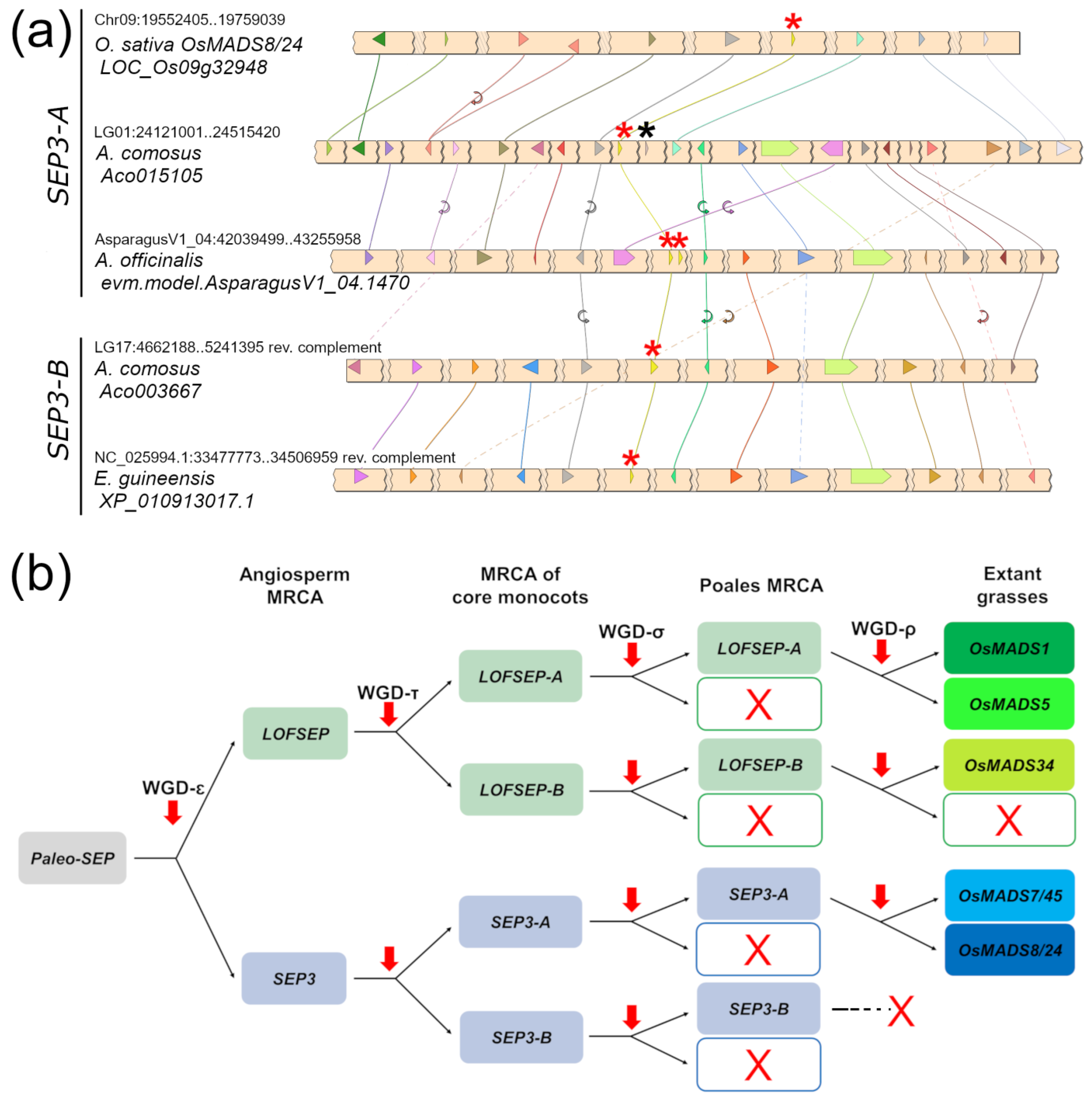 Plants 11 02934 g003 Plants 11 02934 g003