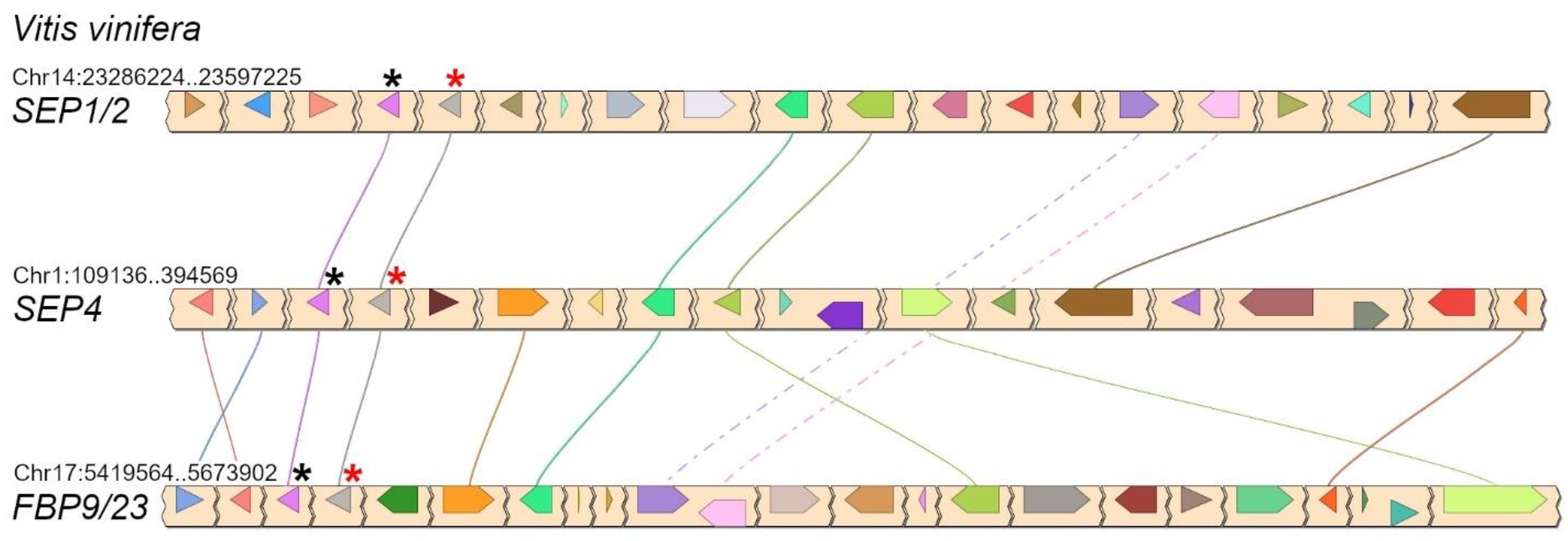 Plants 11 02934 g005 Plants 11 02934 g005