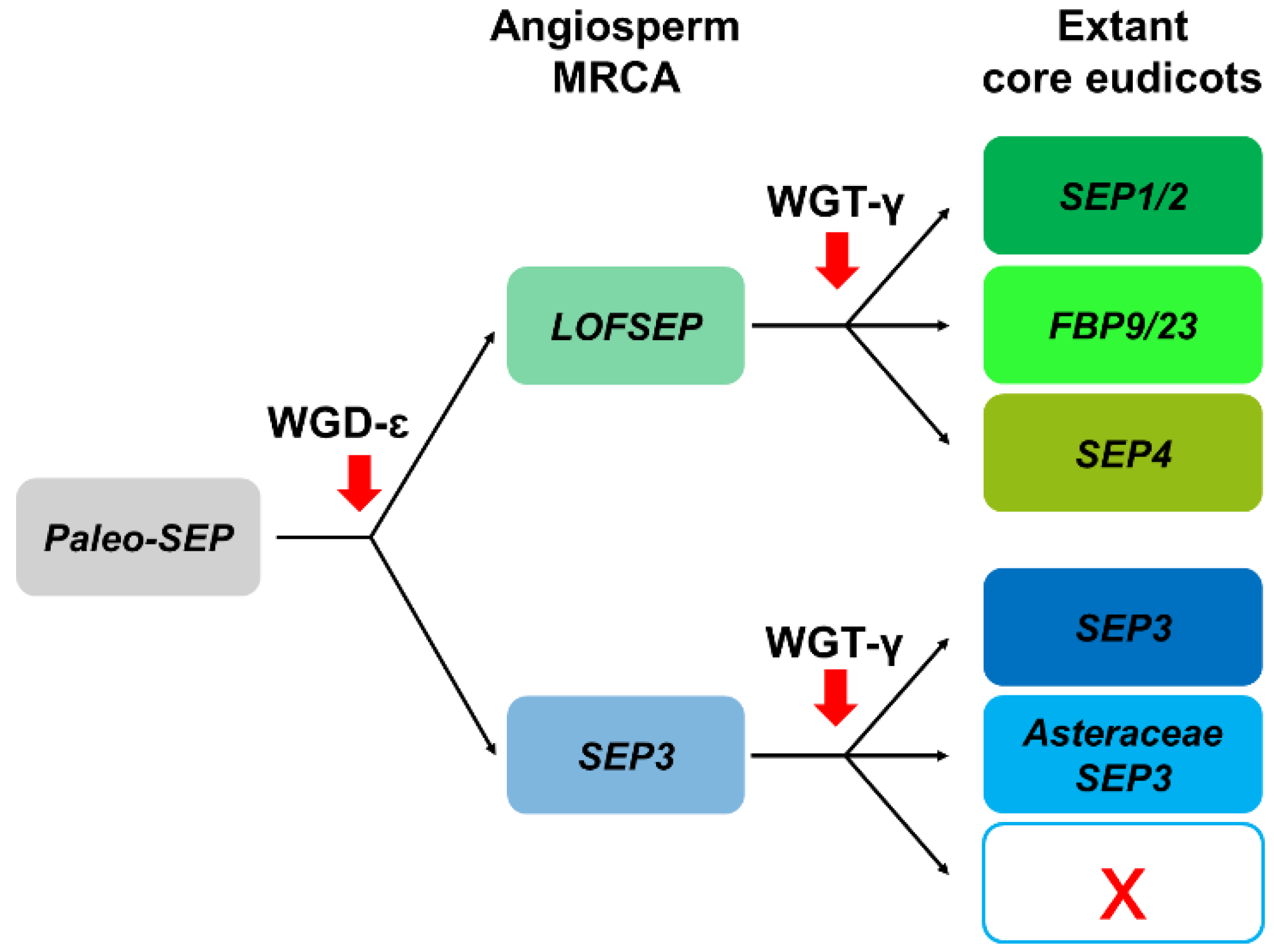 Plants 11 02934 g006 Plants 11 02934 g006