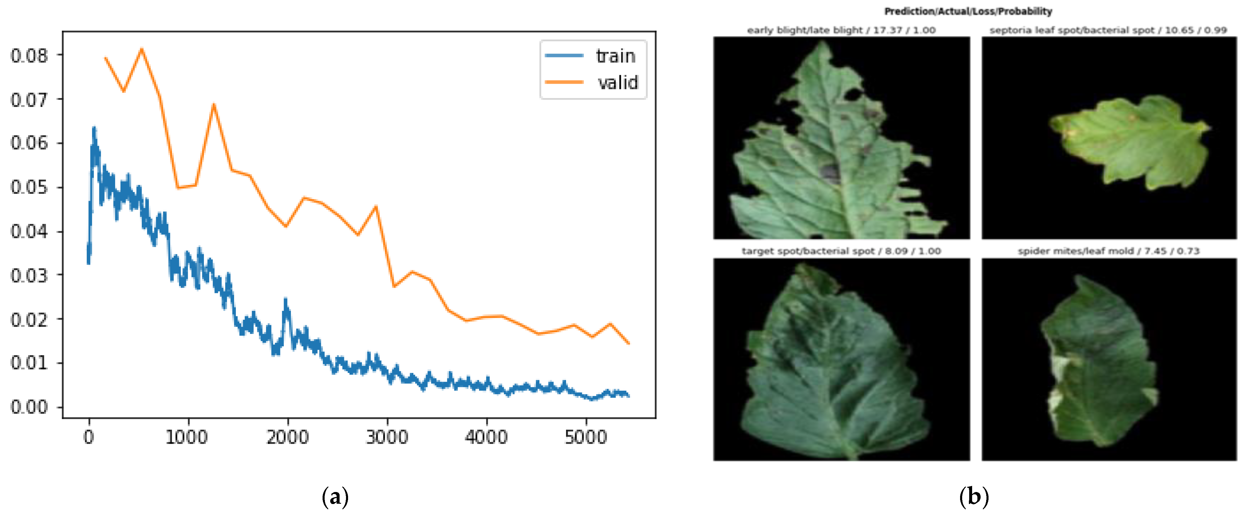Plants 11 02935 g011
