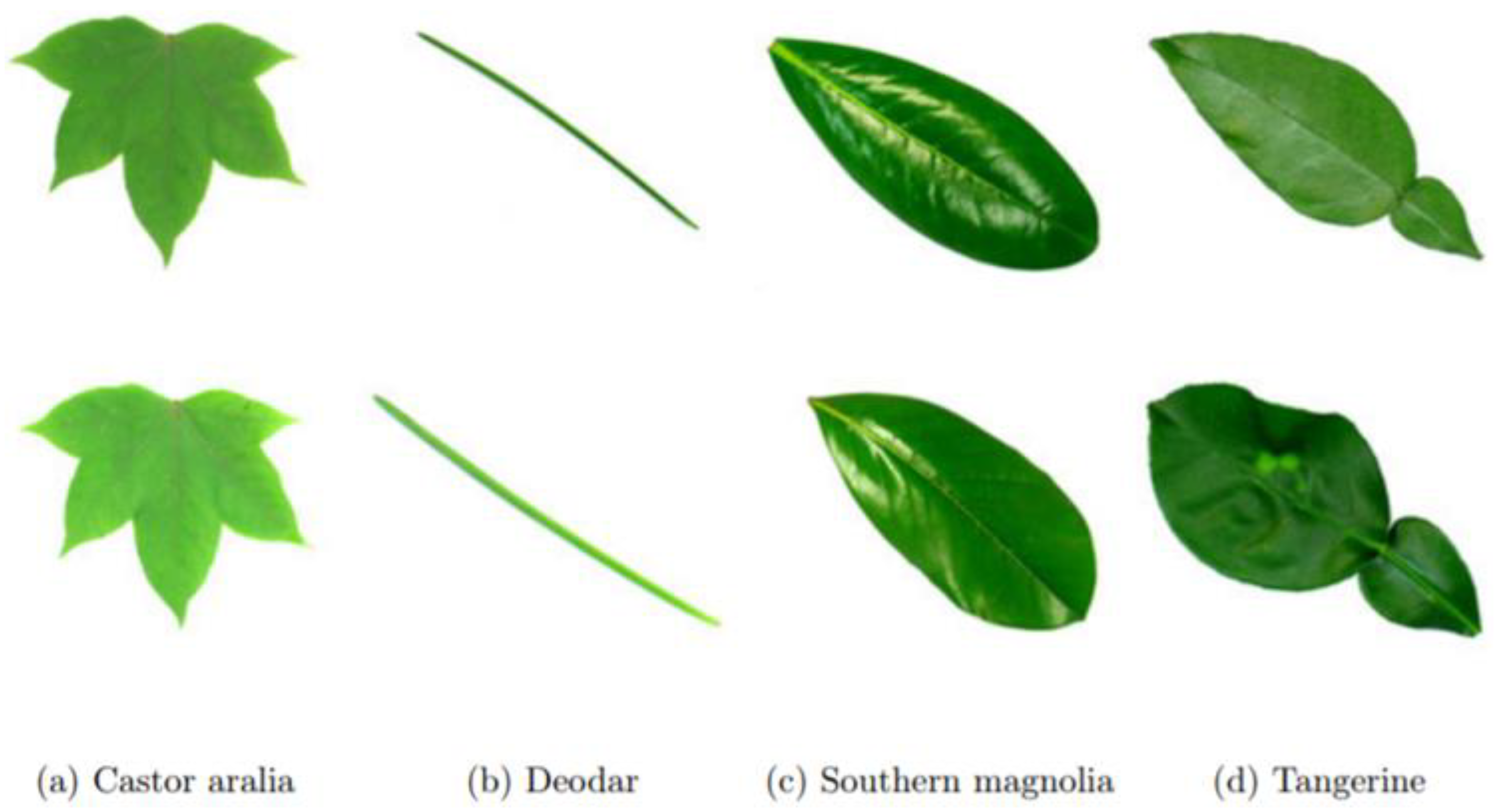 Plants 11 02935 g014