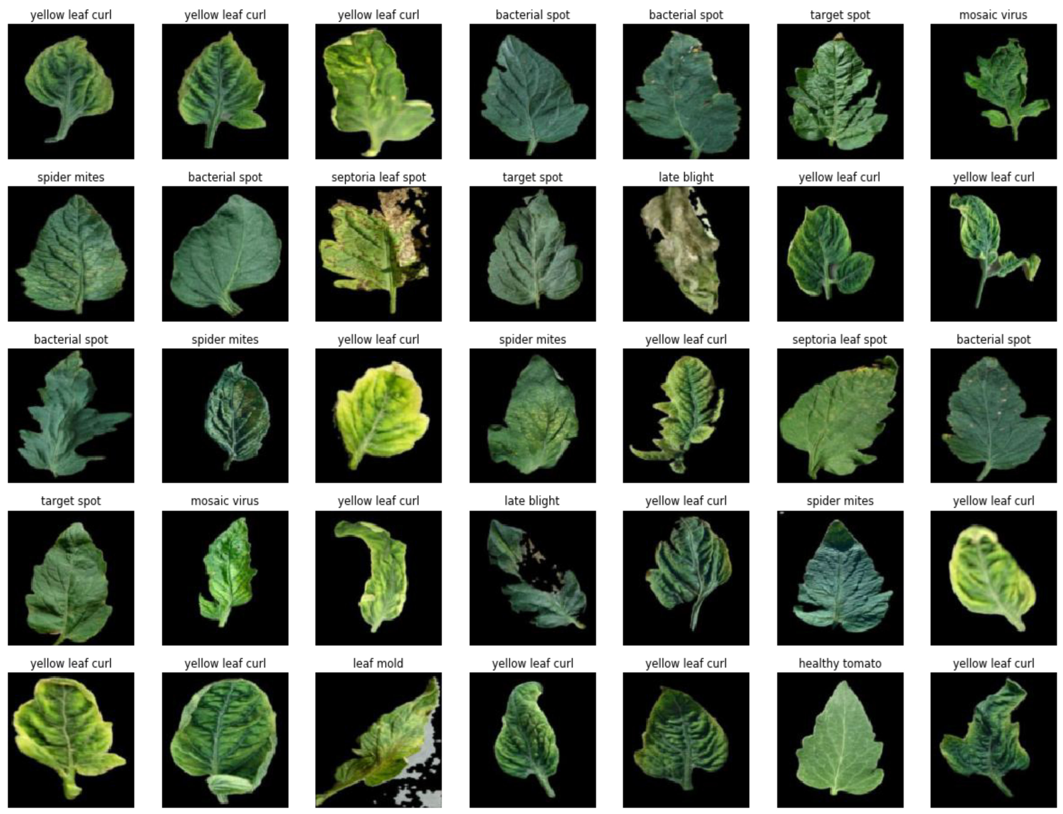 Plants 11 02935 g015