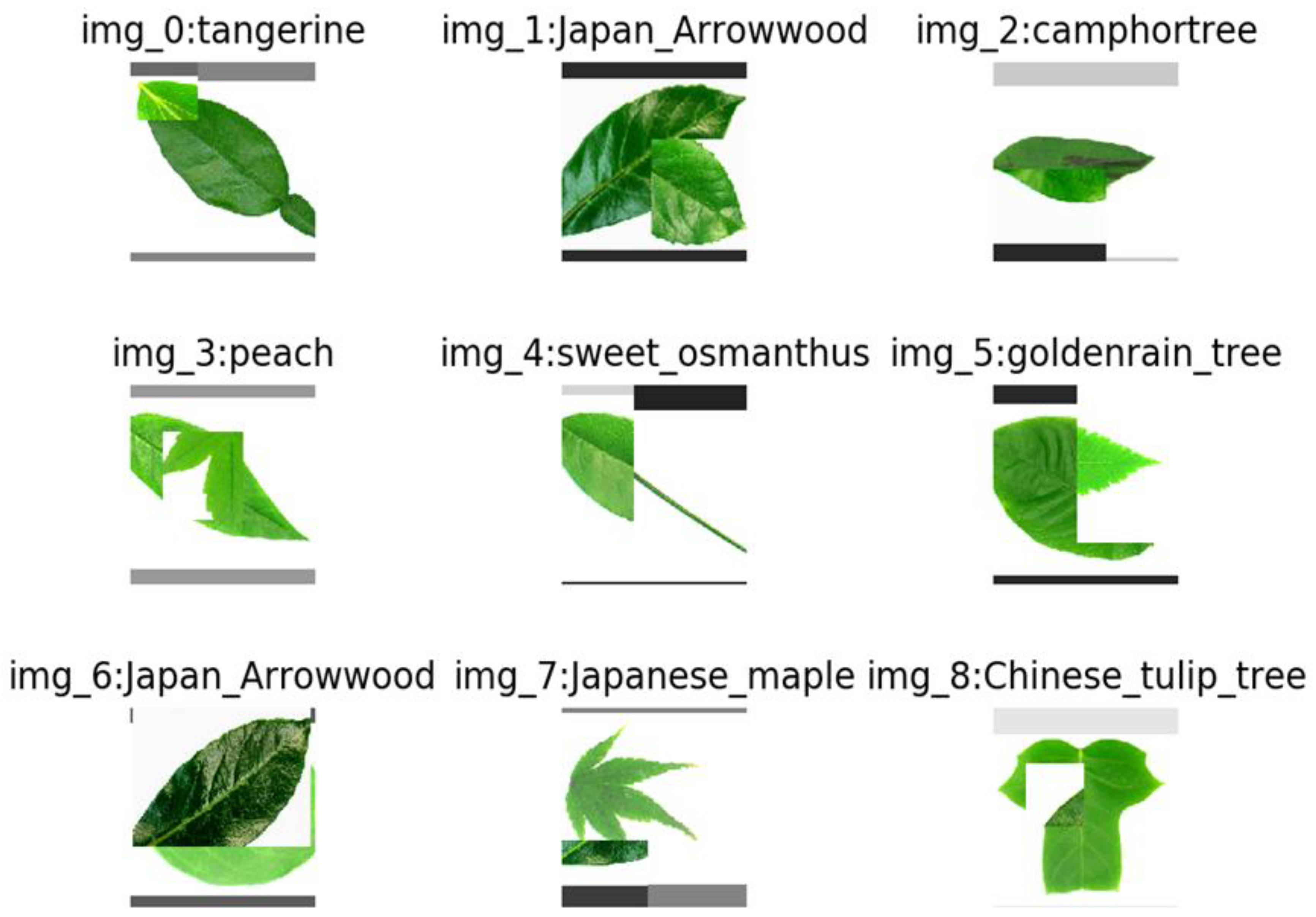 Plants 11 02935 g016