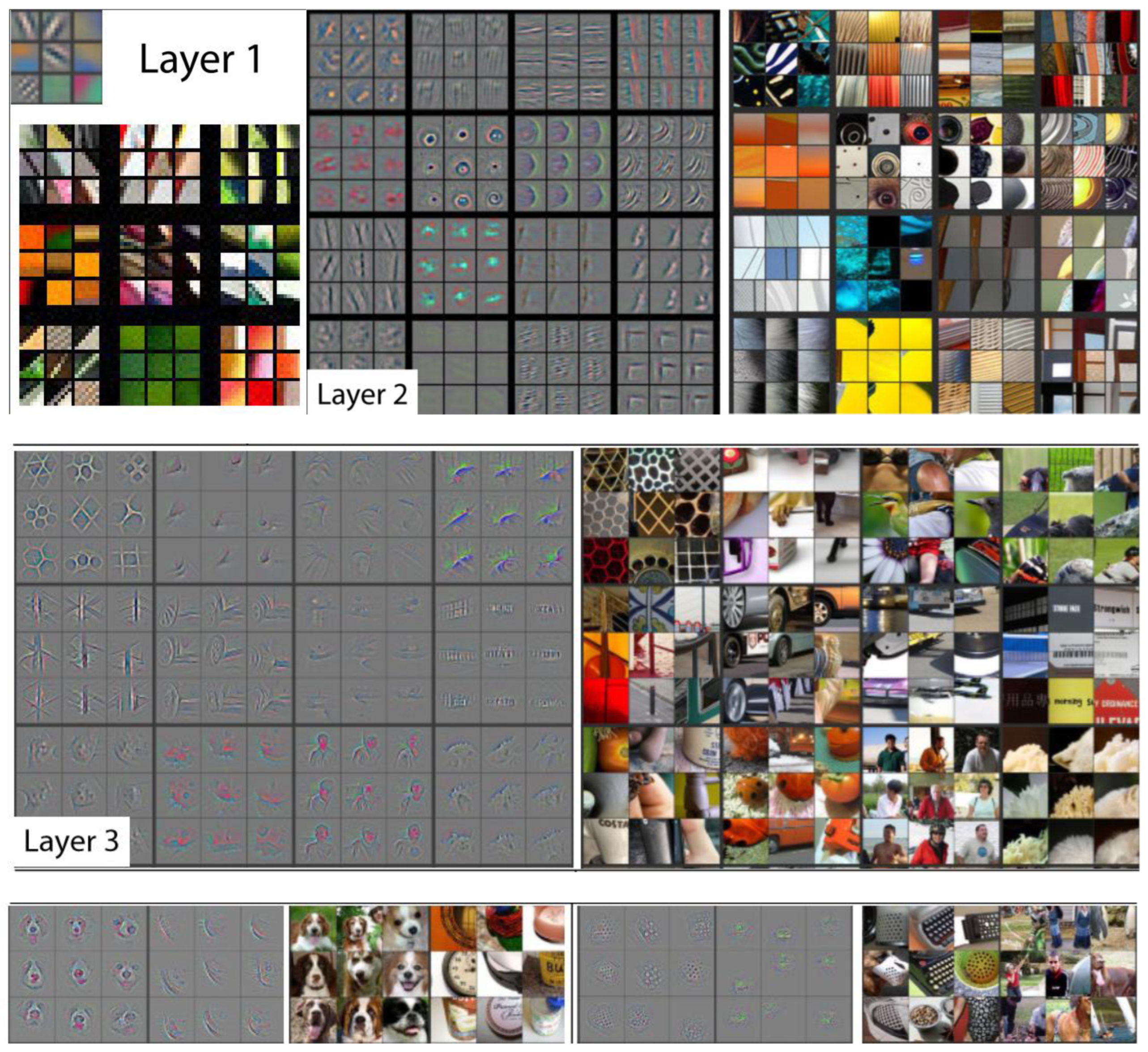 Plants 11 02935 g021a