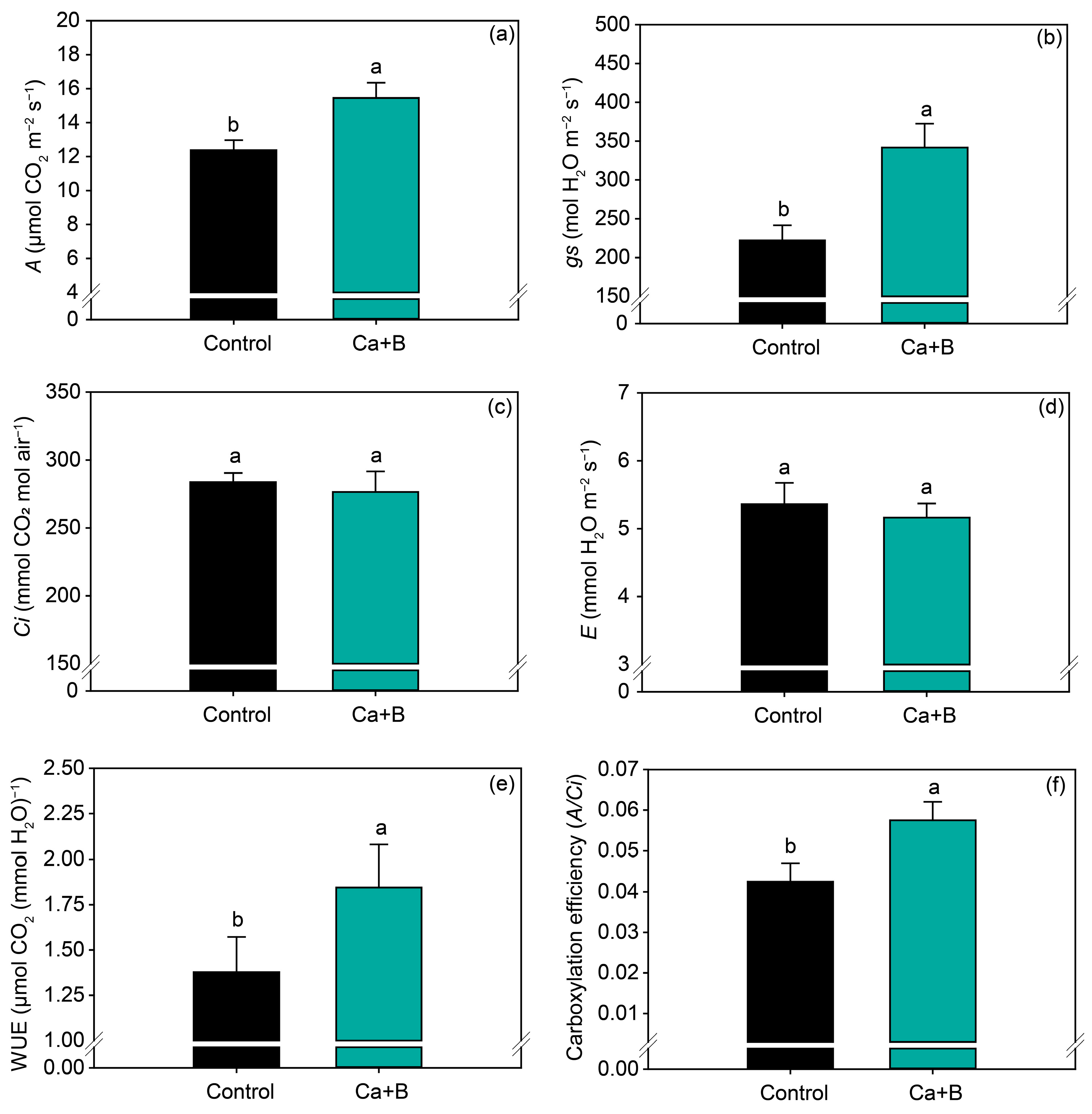 Plants 11 02937 g003