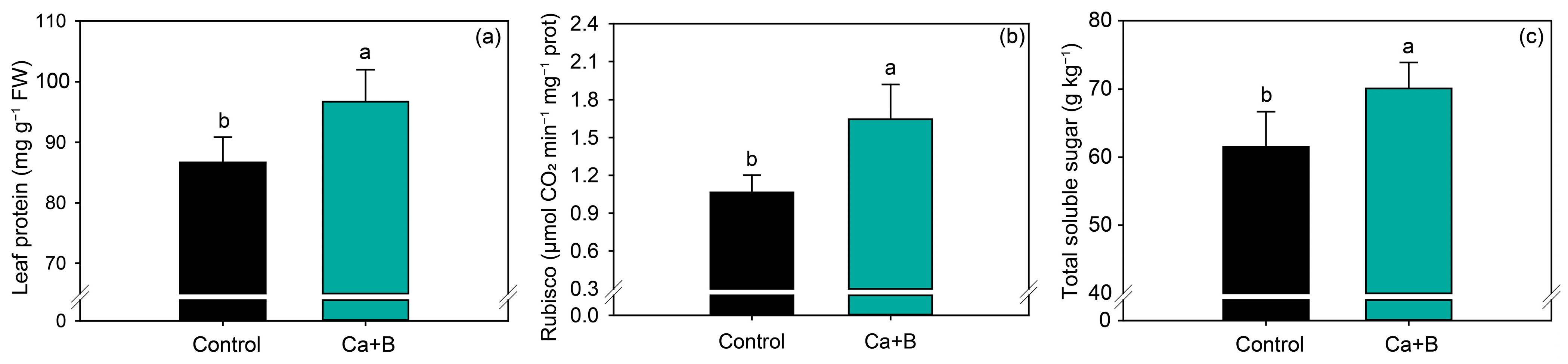 Plants 11 02937 g004