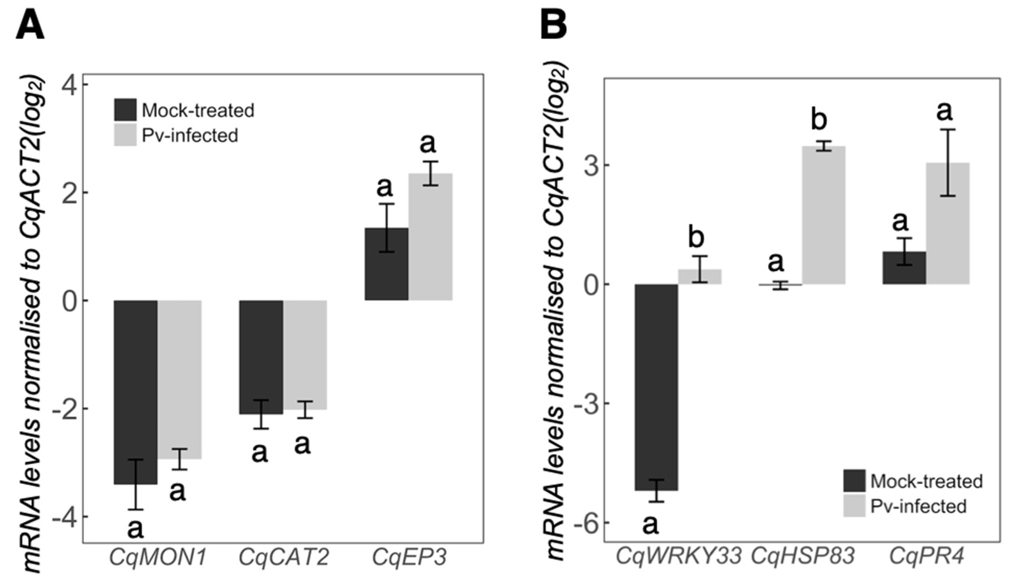 Plants 11 02946 g006