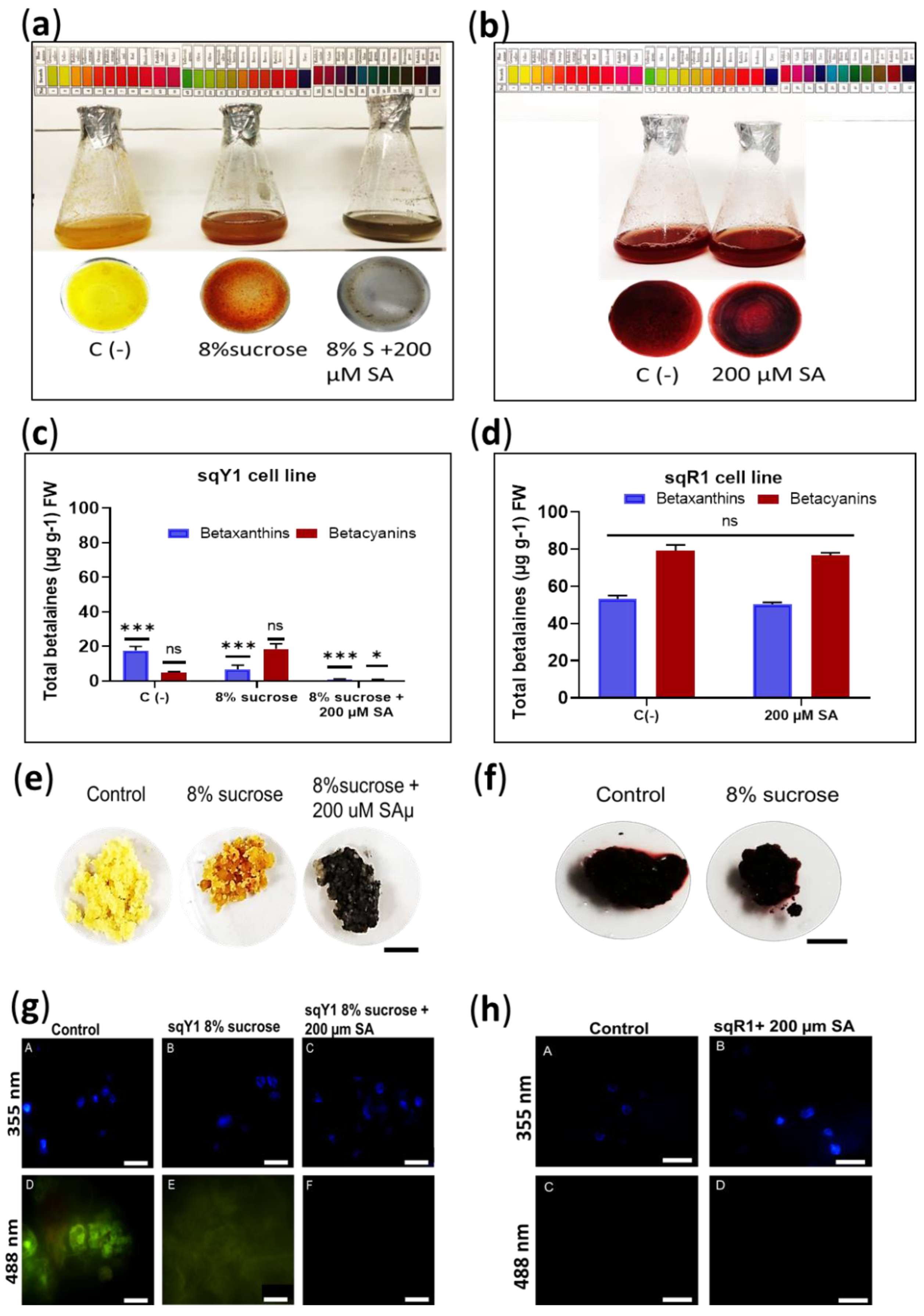 Plants 11 02948 g003 Plants 11 02948 g003