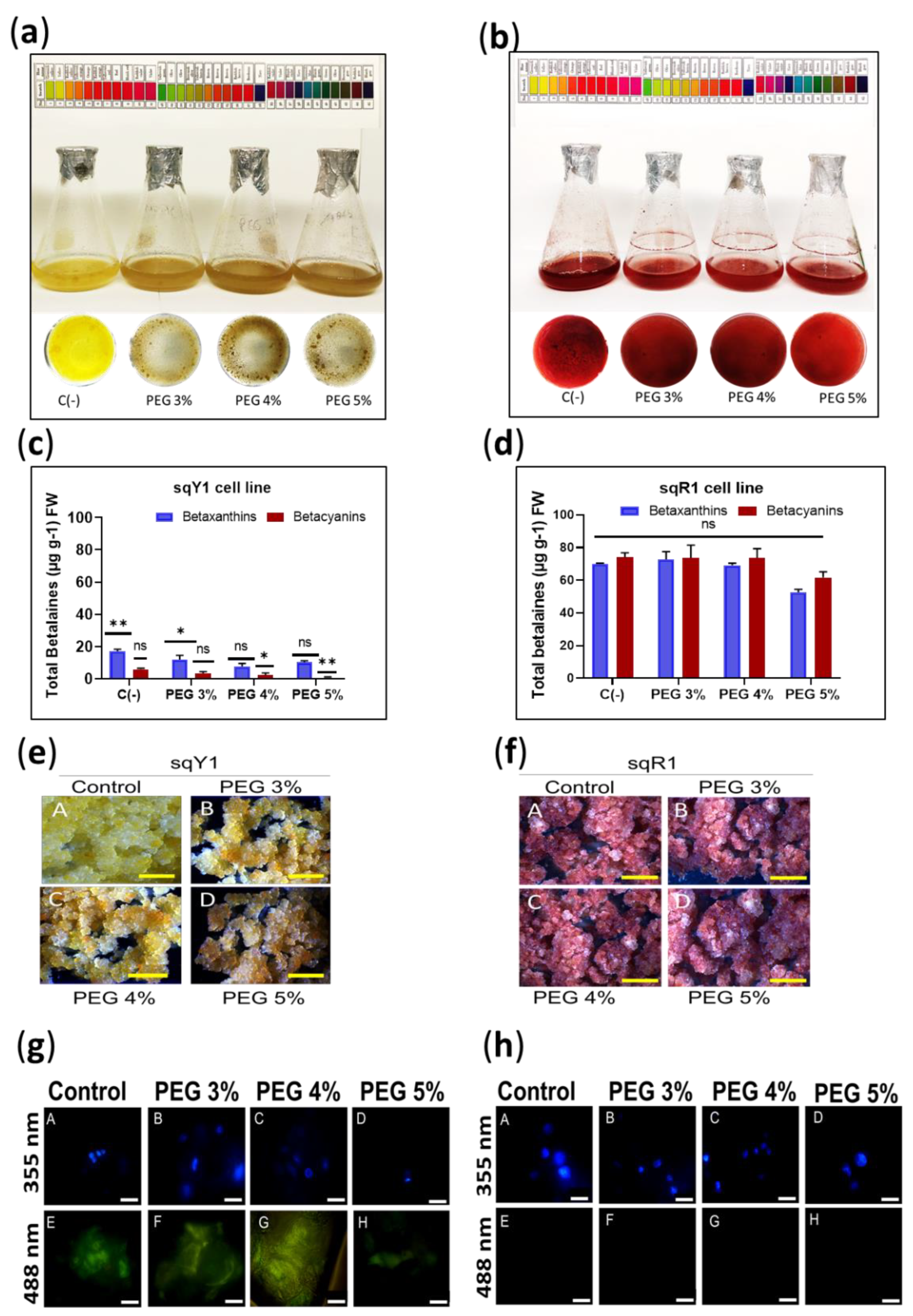 Plants 11 02948 g005 Plants 11 02948 g005