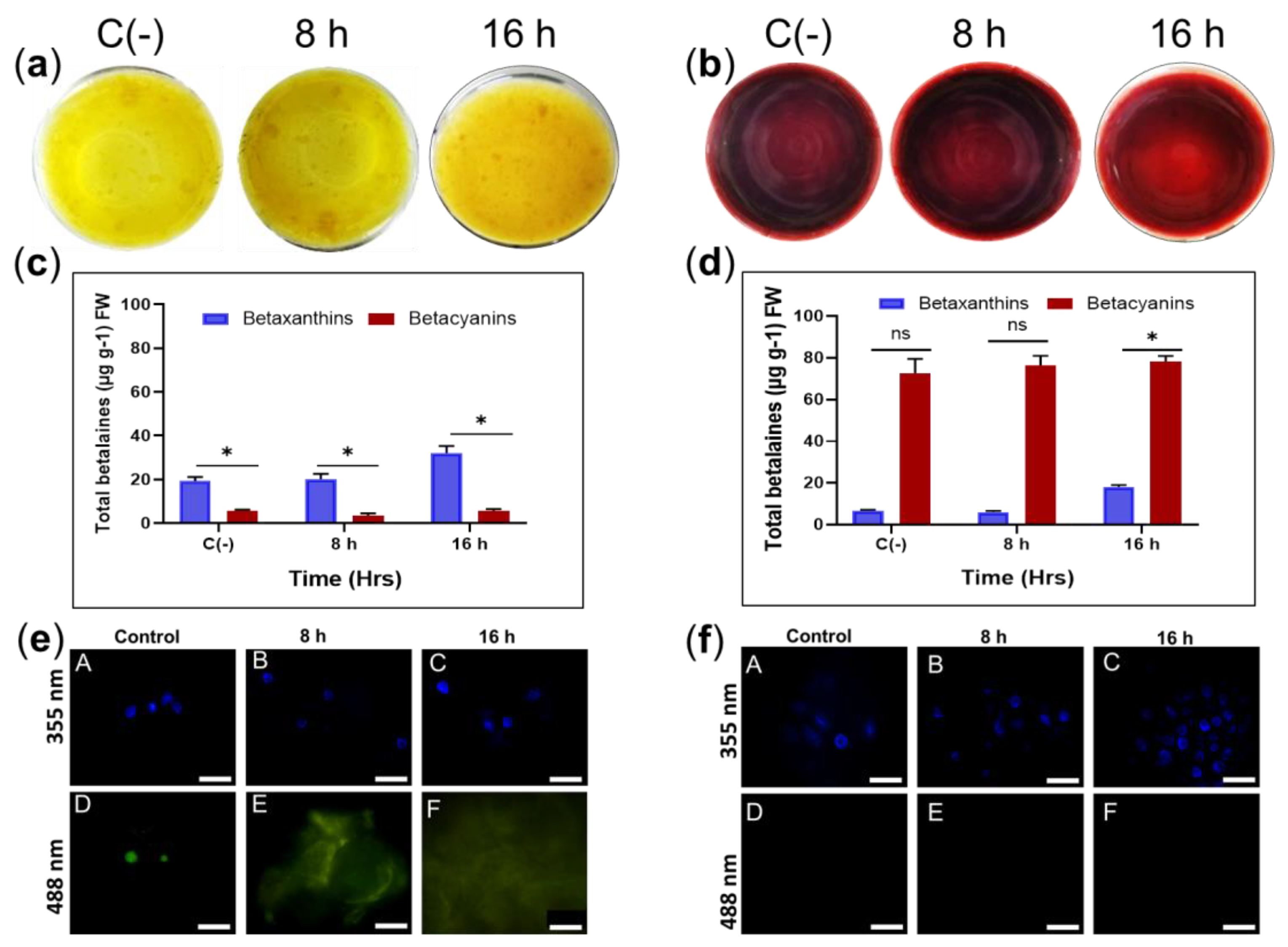 Plants 11 02948 g006 Plants 11 02948 g006
