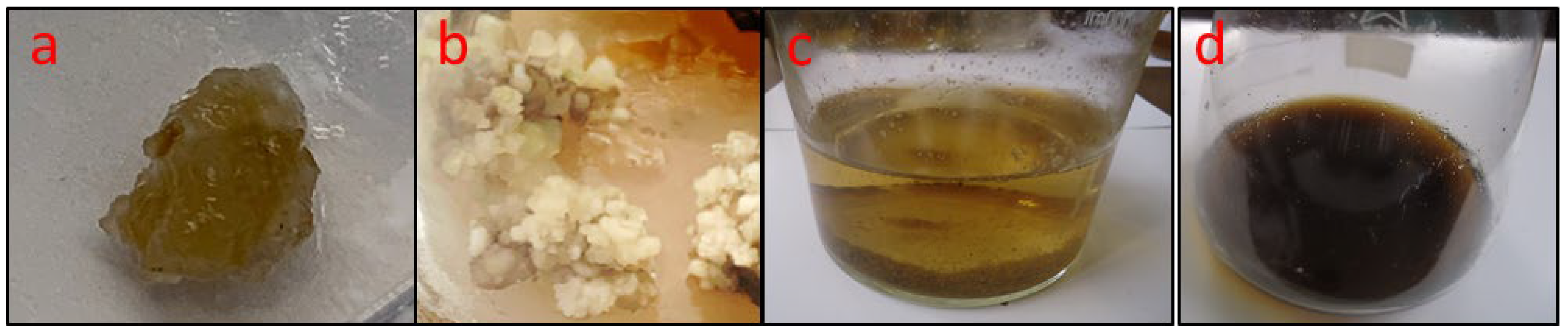 Plants 11 02949 g001